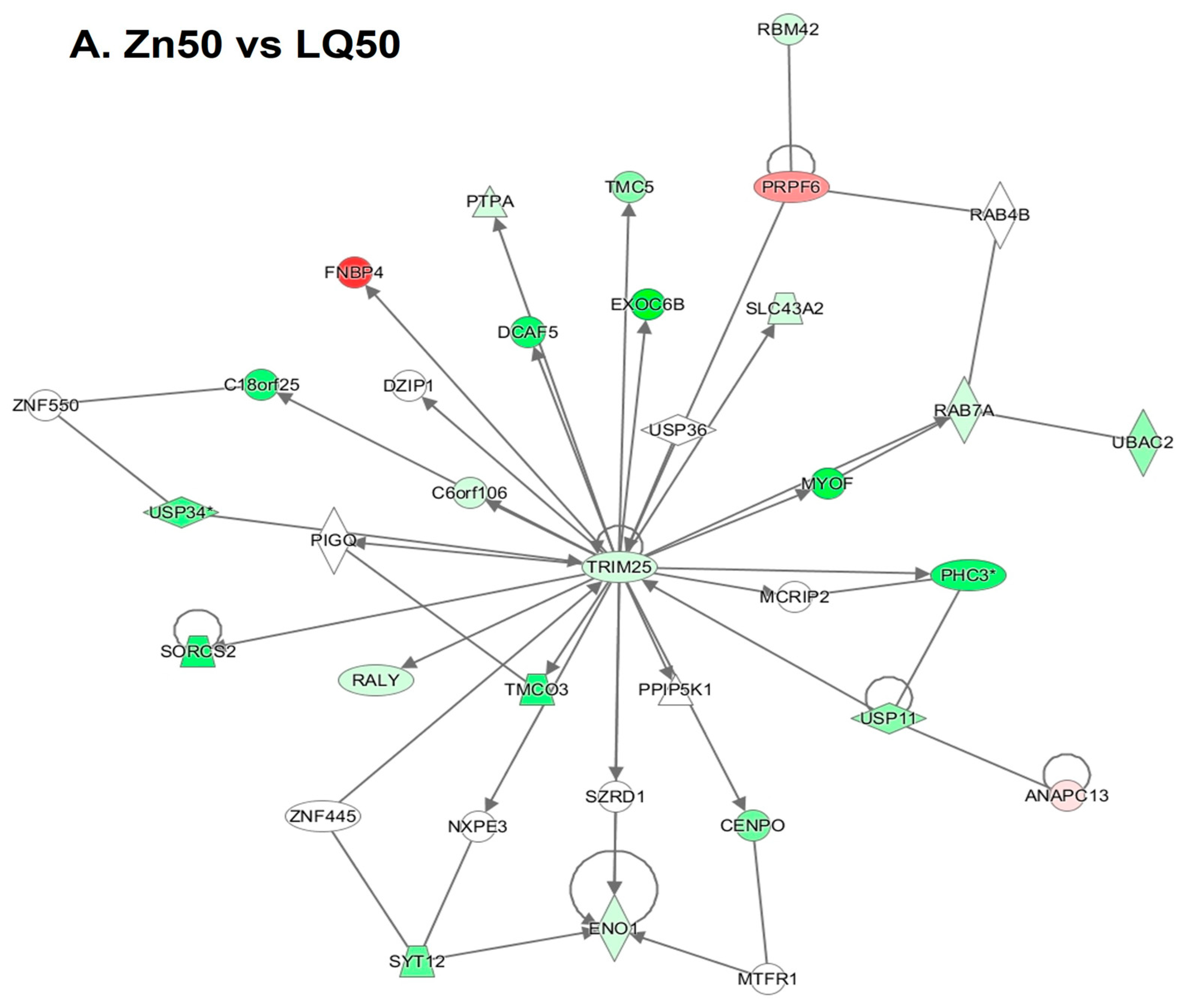 Animals 13 02519 g003a