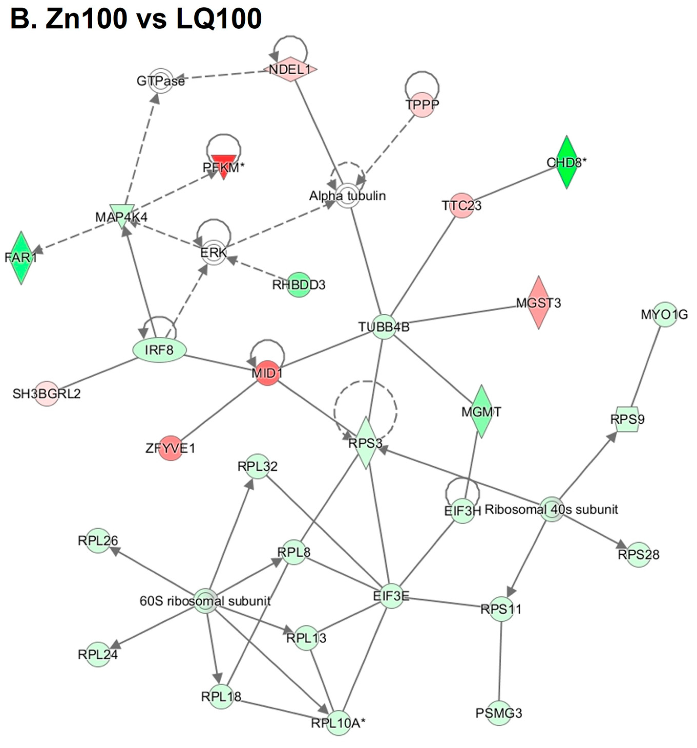 Animals 13 02519 g003b