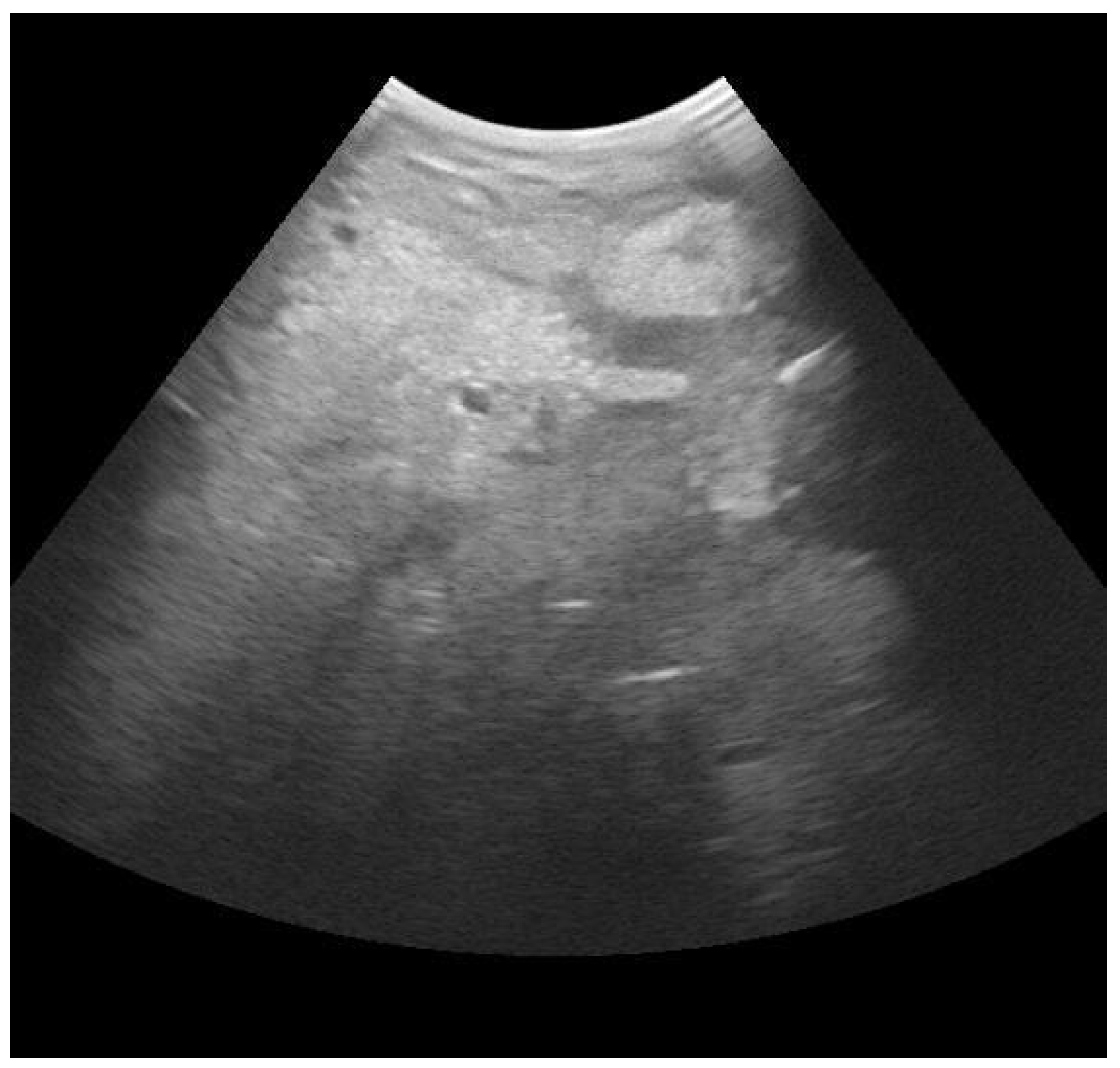 Animals 13 02538 g002