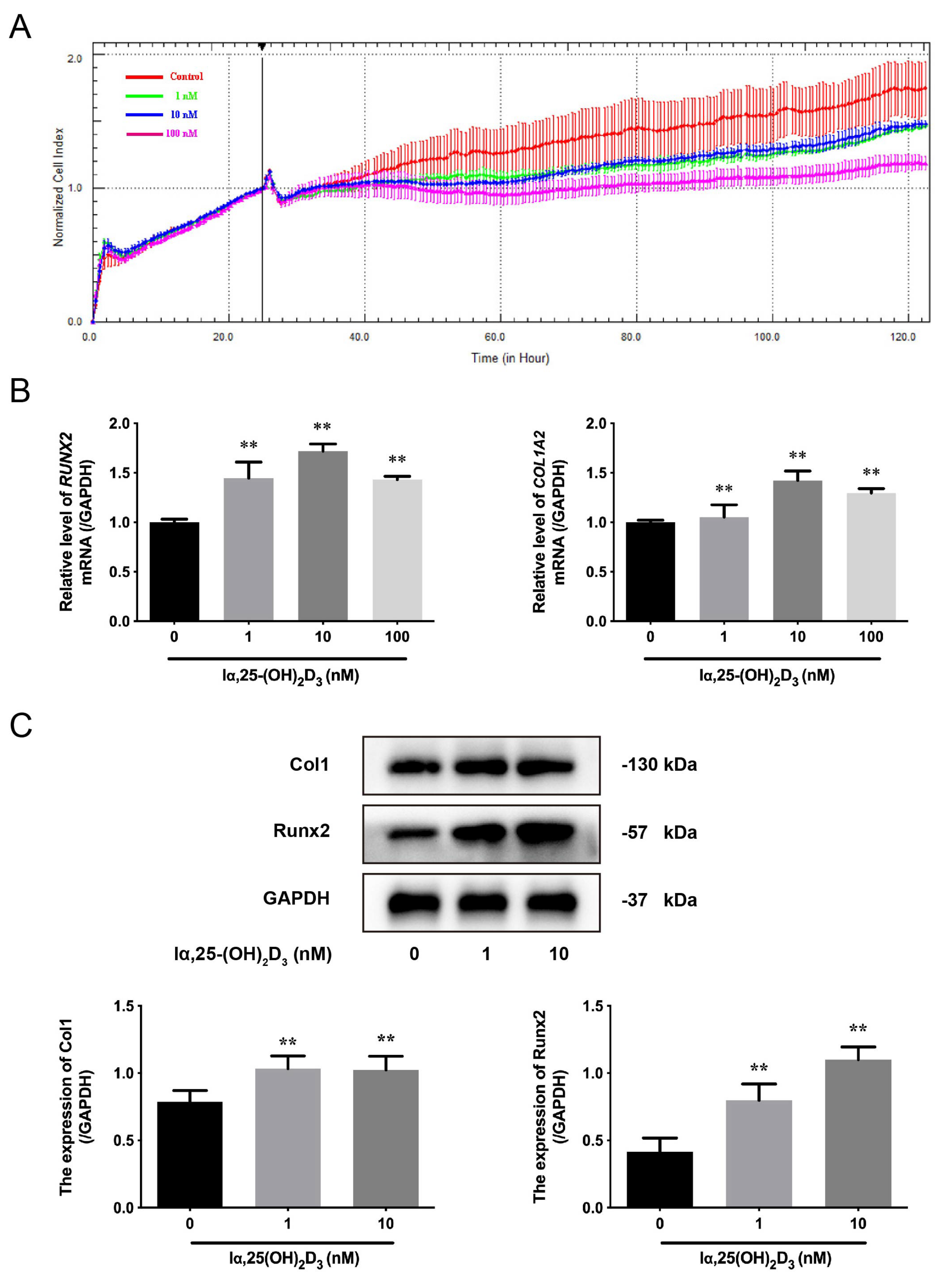 Animals 13 02544 g001