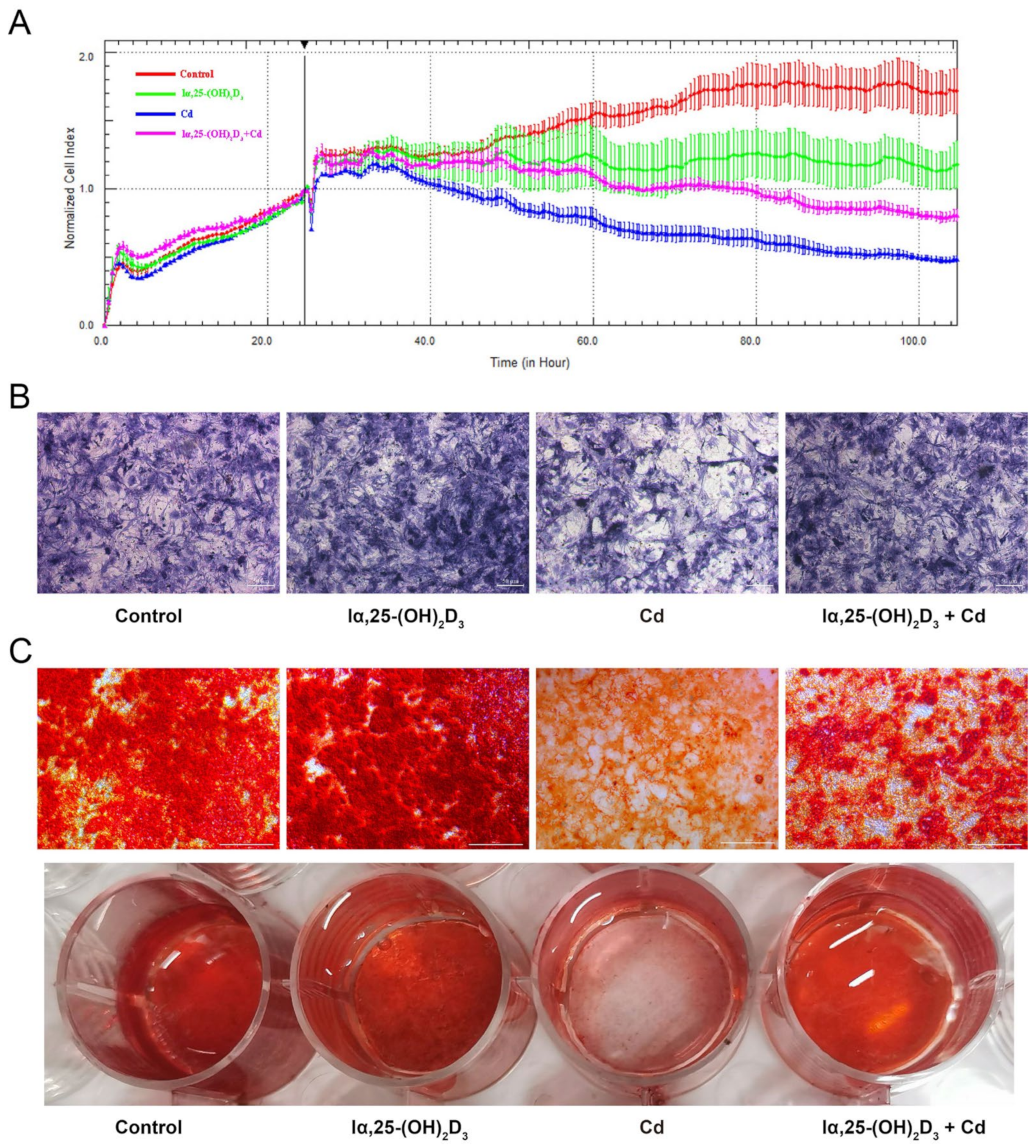 Animals 13 02544 g002