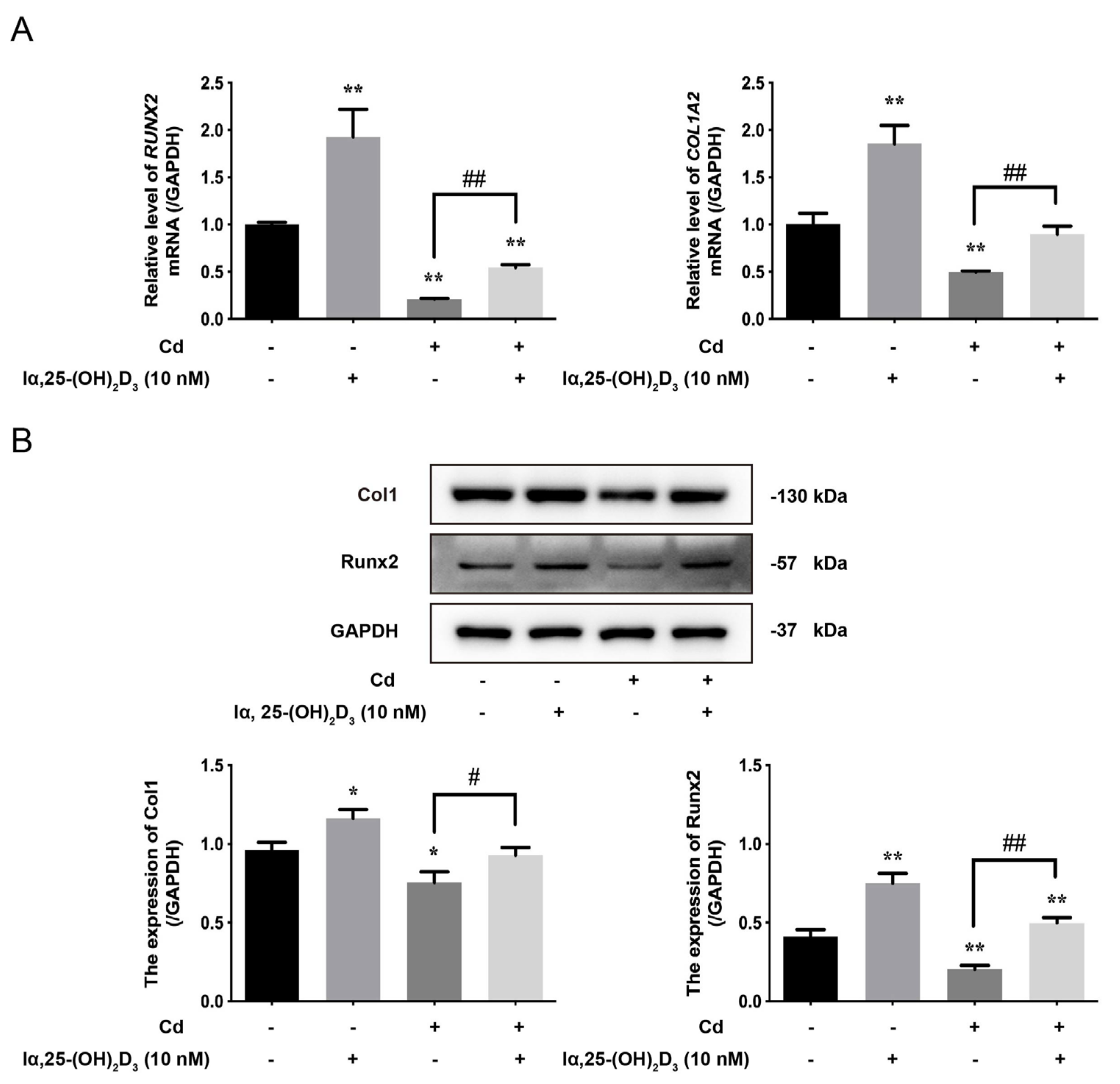 Animals 13 02544 g004