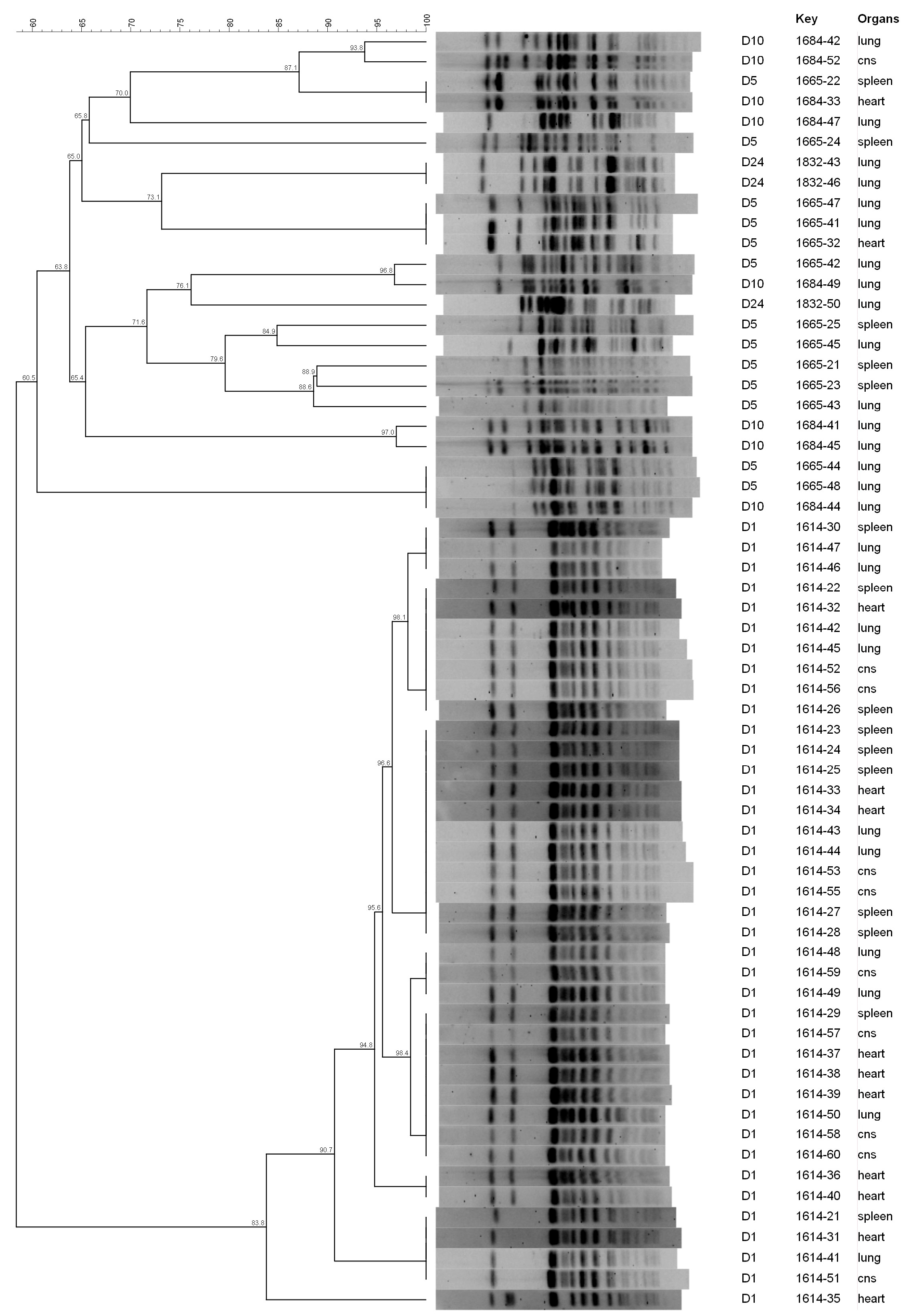 Animals 13 02590 g002