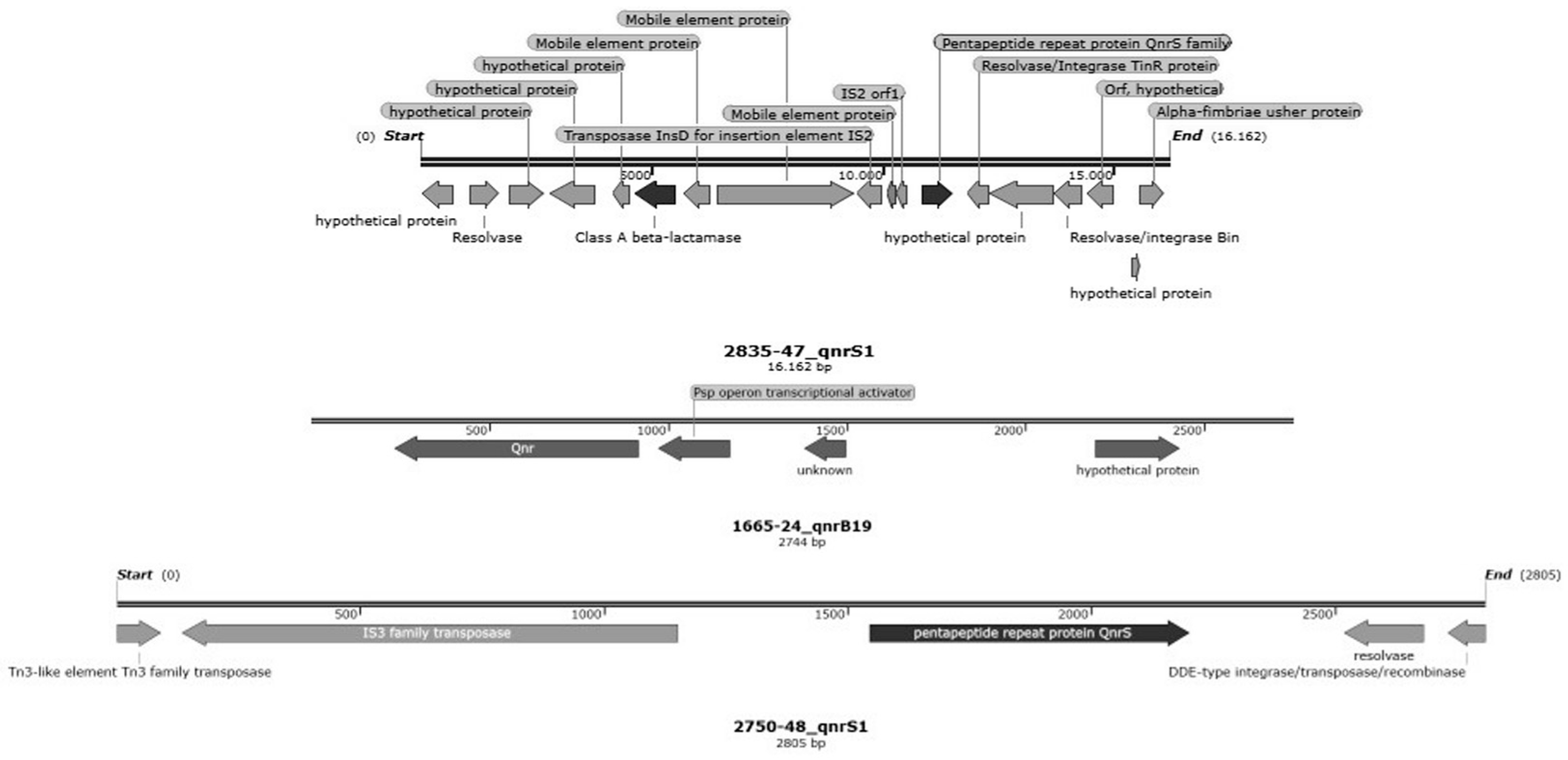 Animals 13 02590 g007