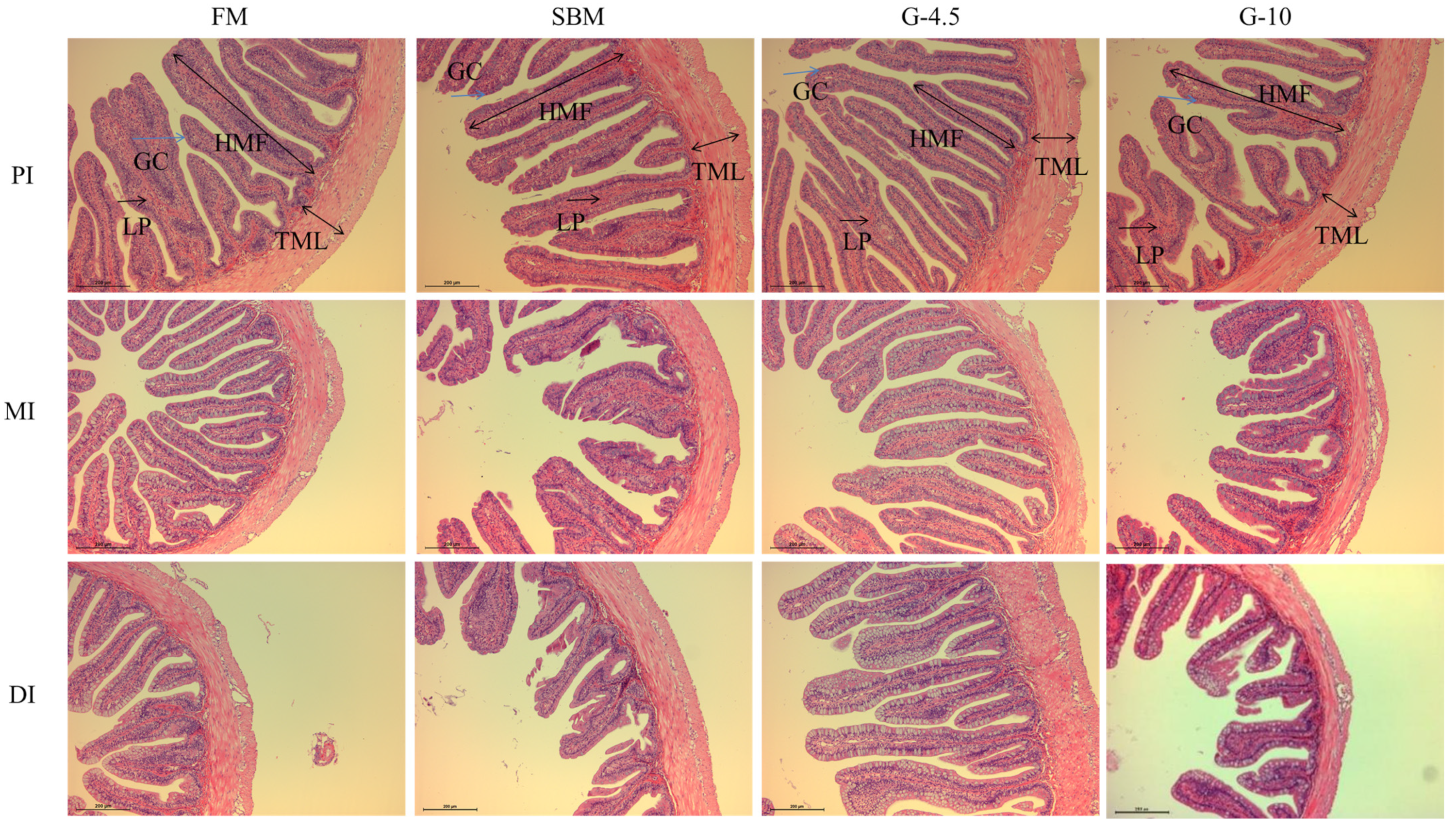 56 Colon Camera Stock Photos, High-Res Pictures, and Images