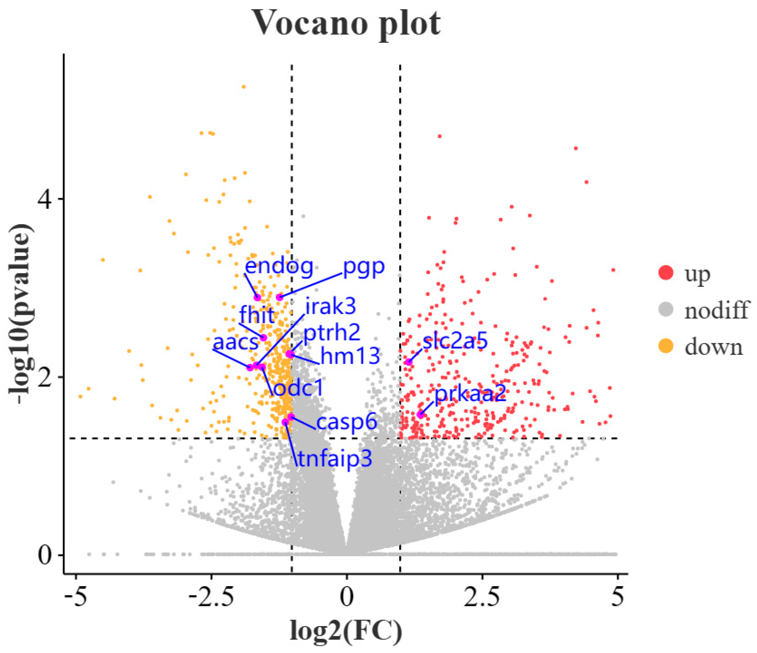 Animals 13 02717 g001