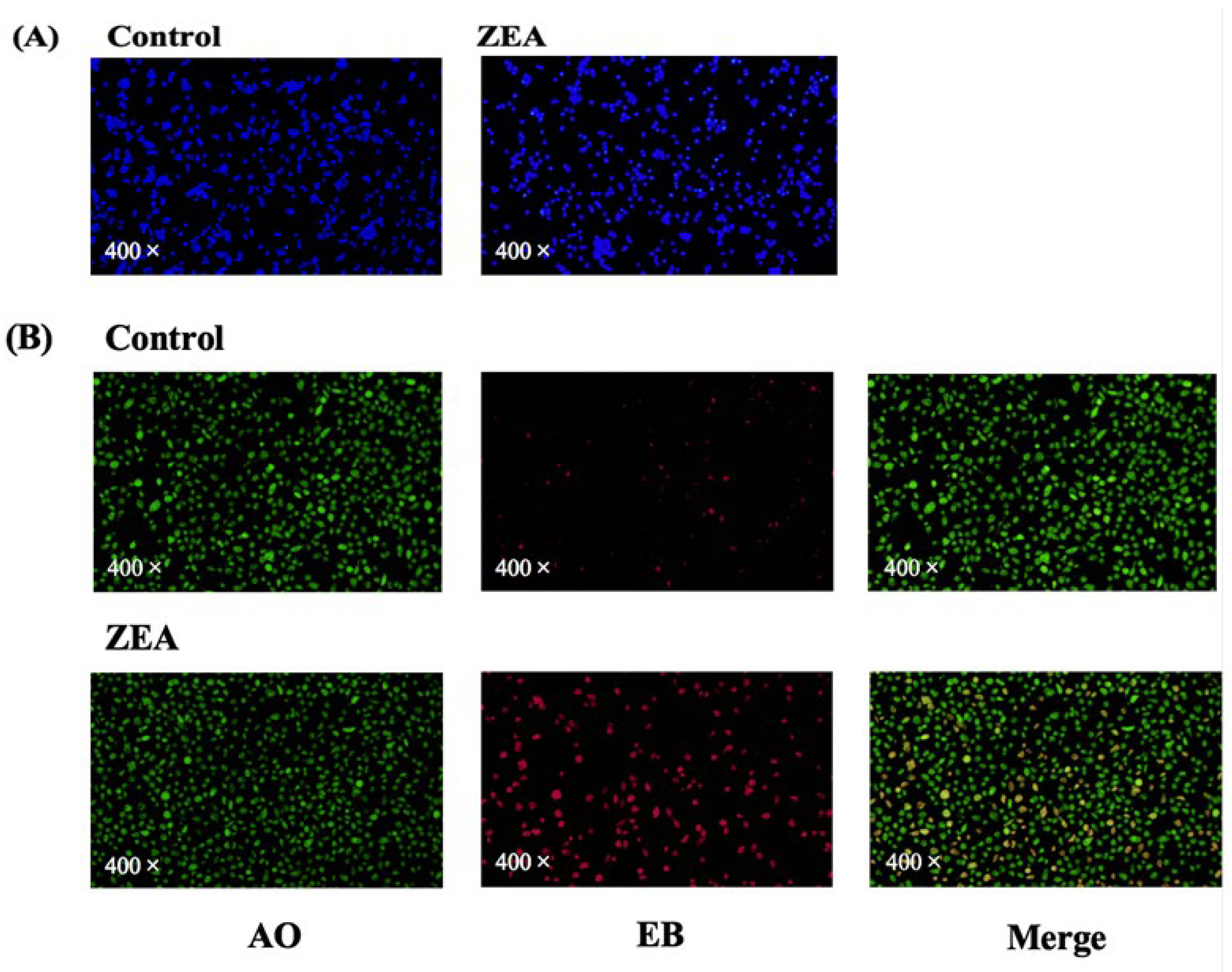 Animals 13 02731 g003