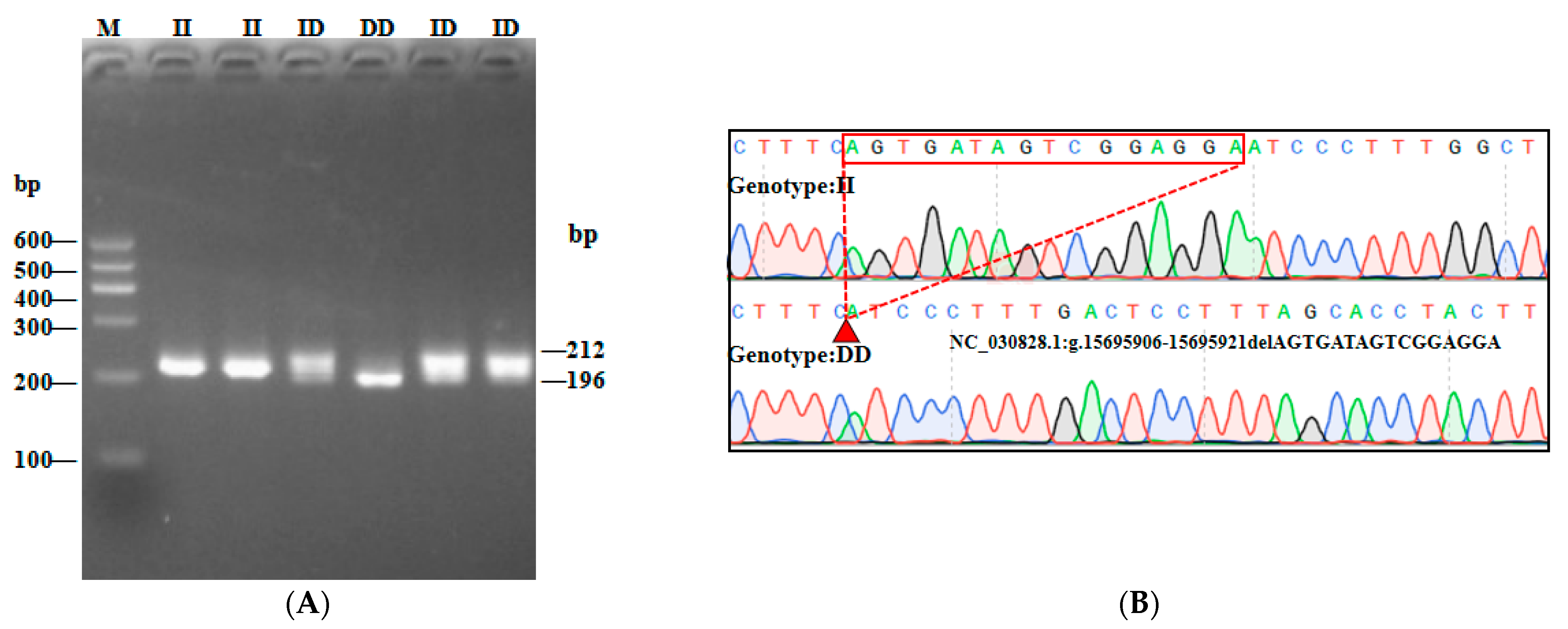 Animals 13 02746 g002