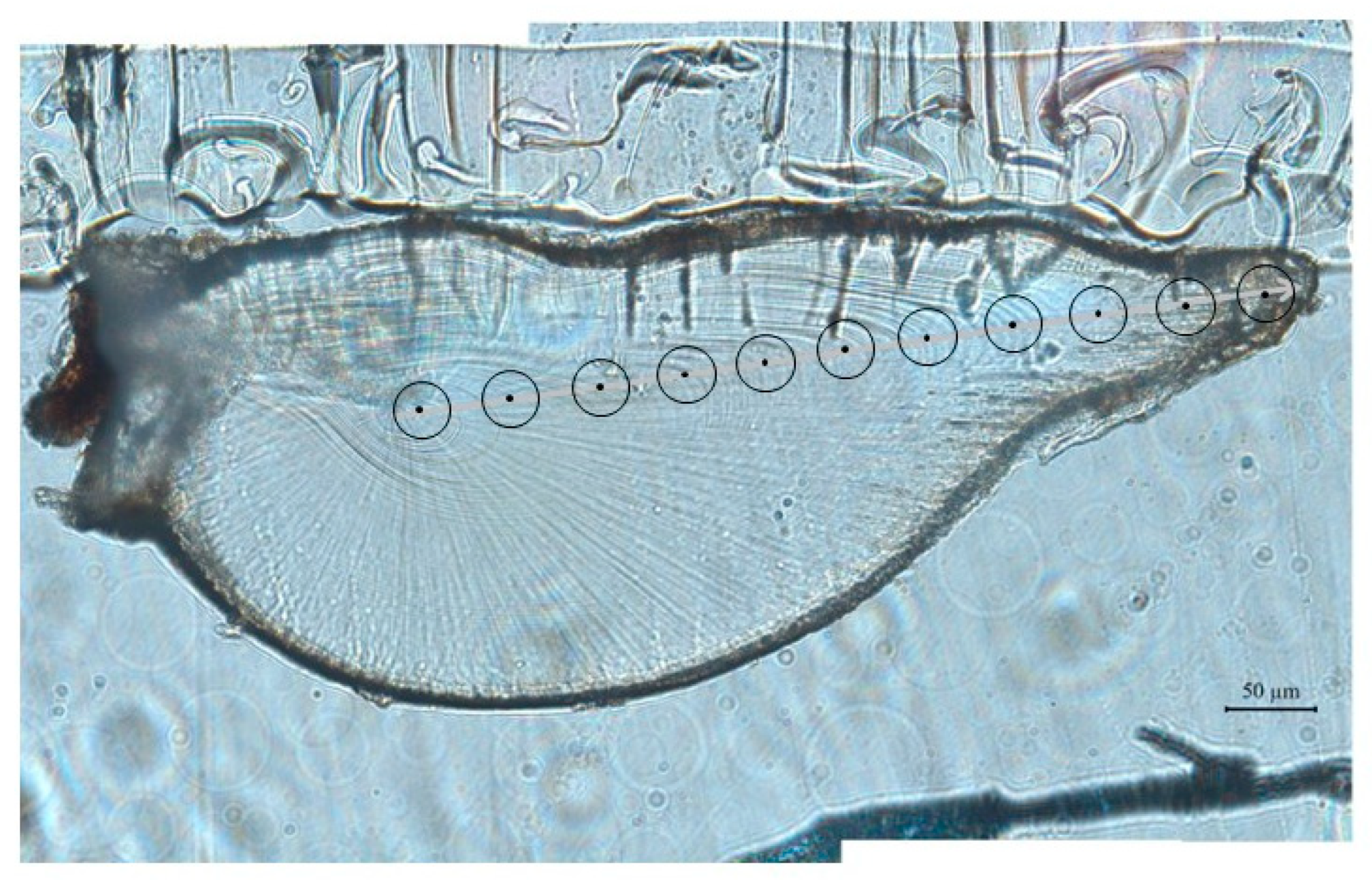 Animals 13 02811 g002