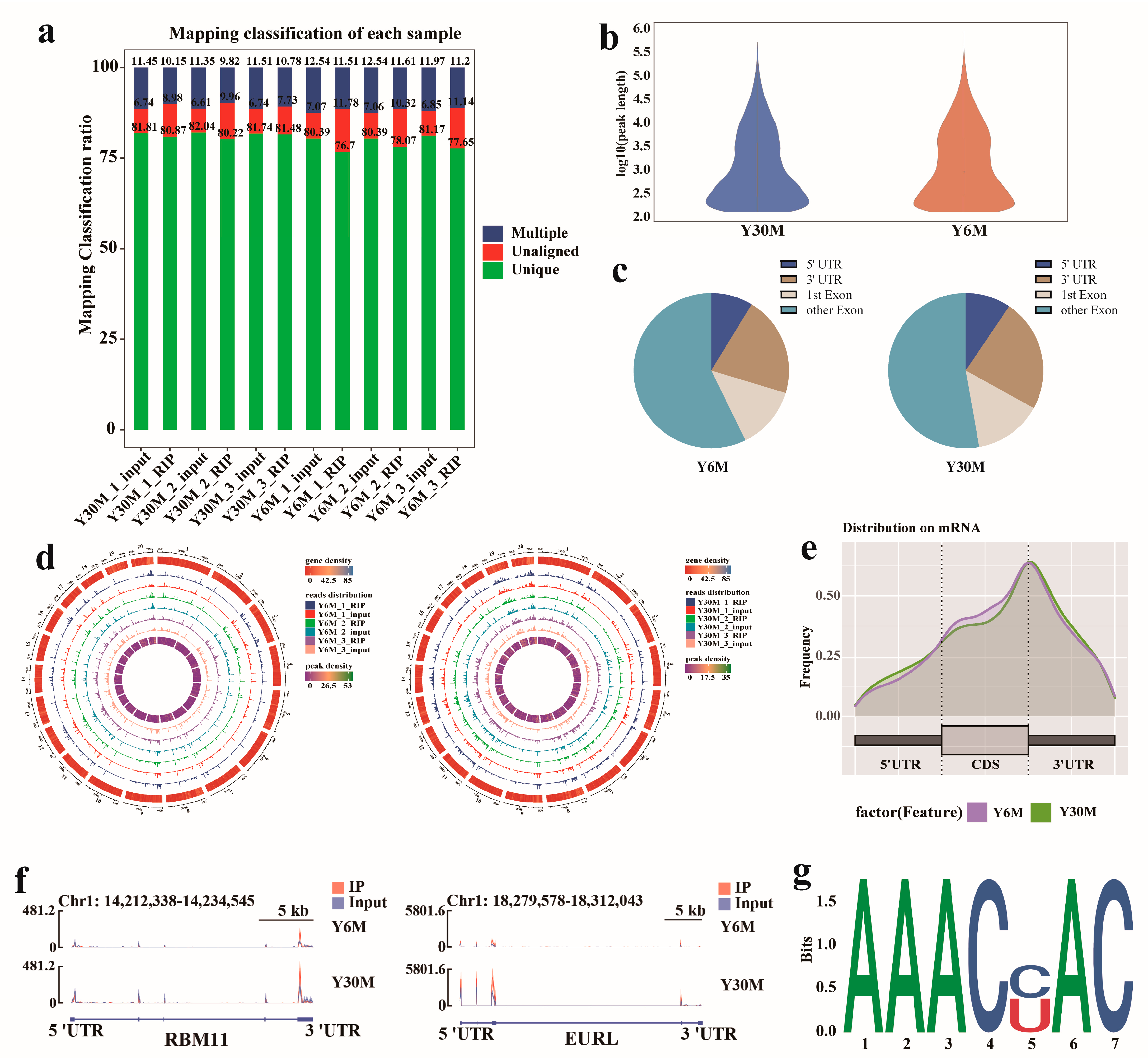 Animals 13 02815 g002