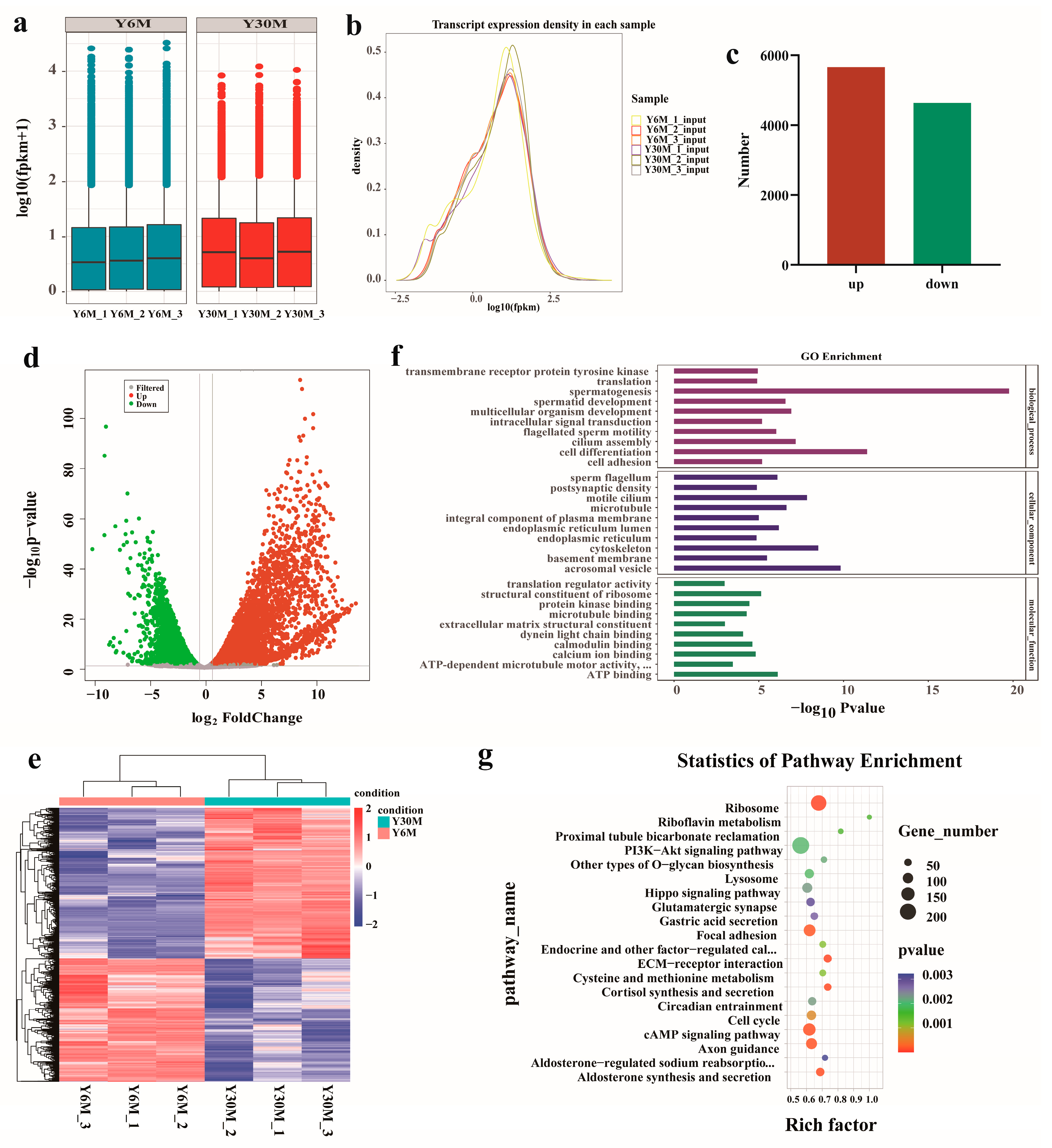 Animals 13 02815 g004
