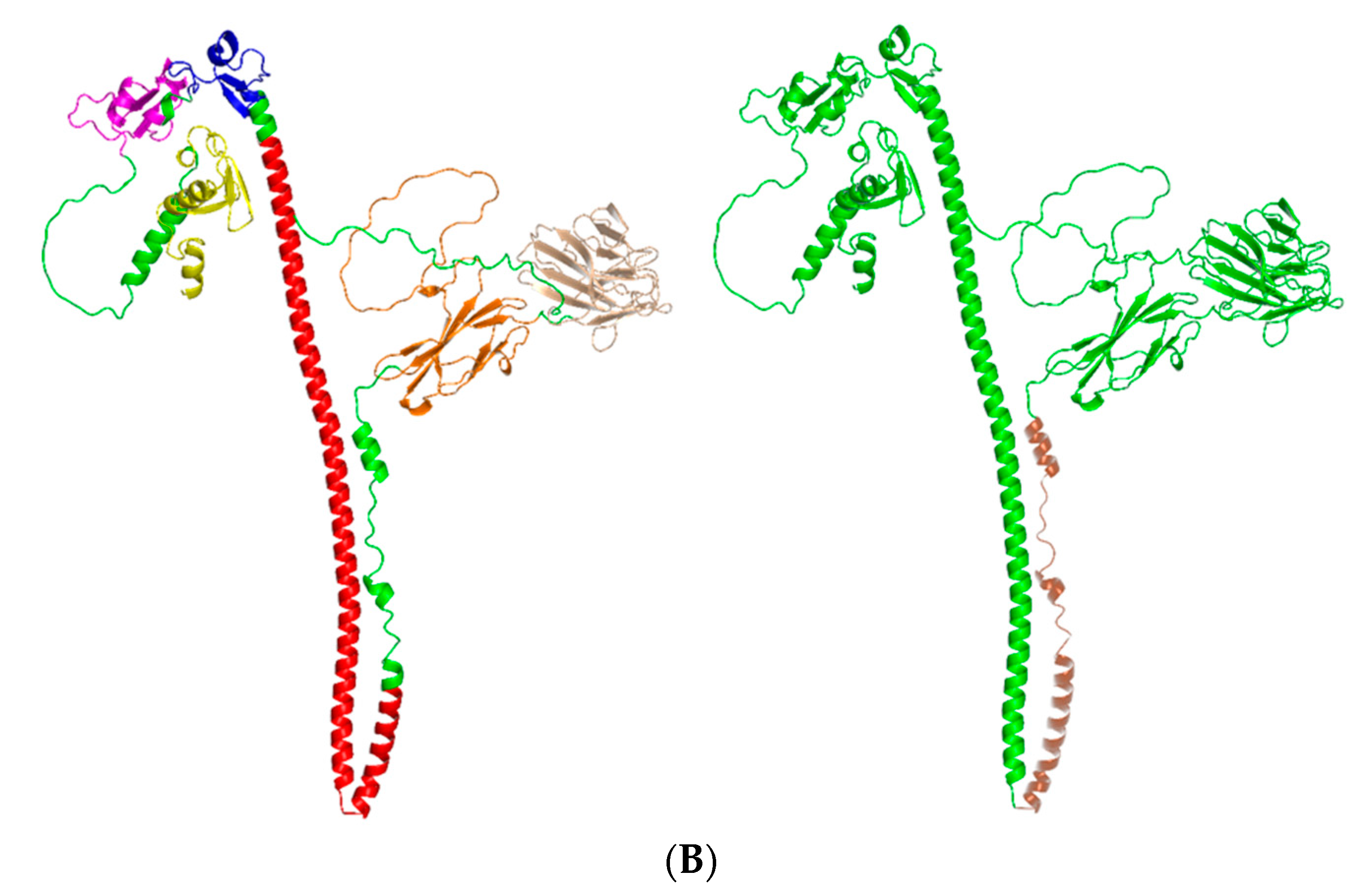 Animals 13 02853 g002b