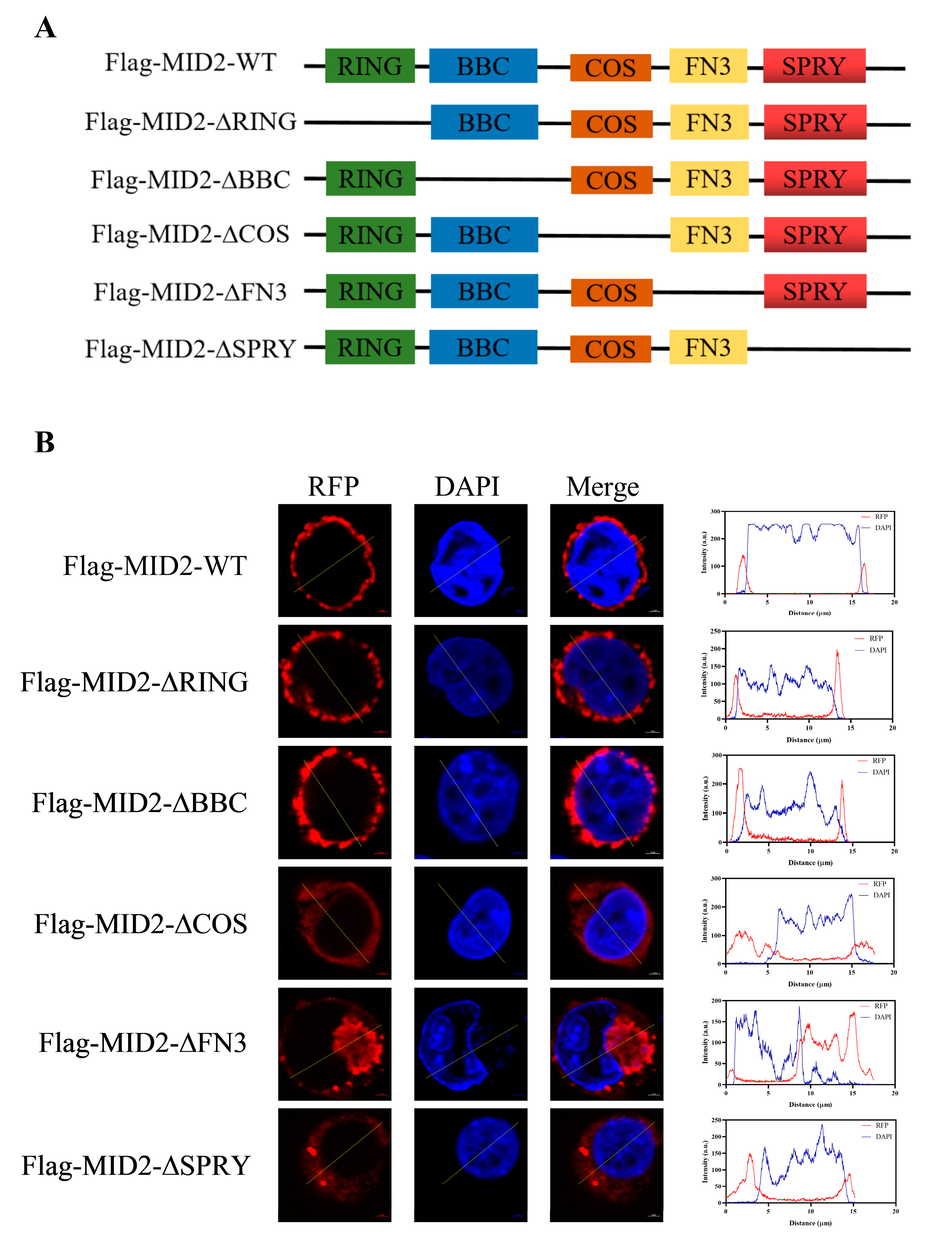 Animals 13 02853 g005