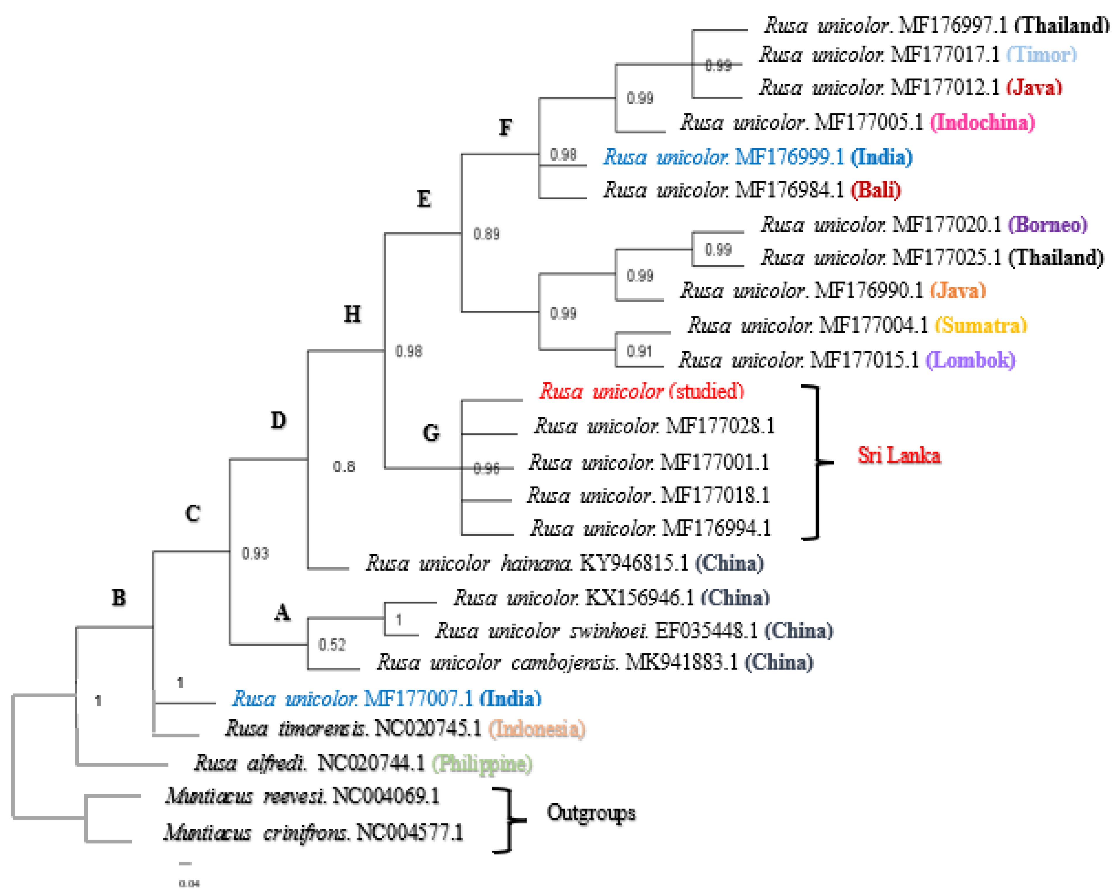 Animals 13 02877 g002