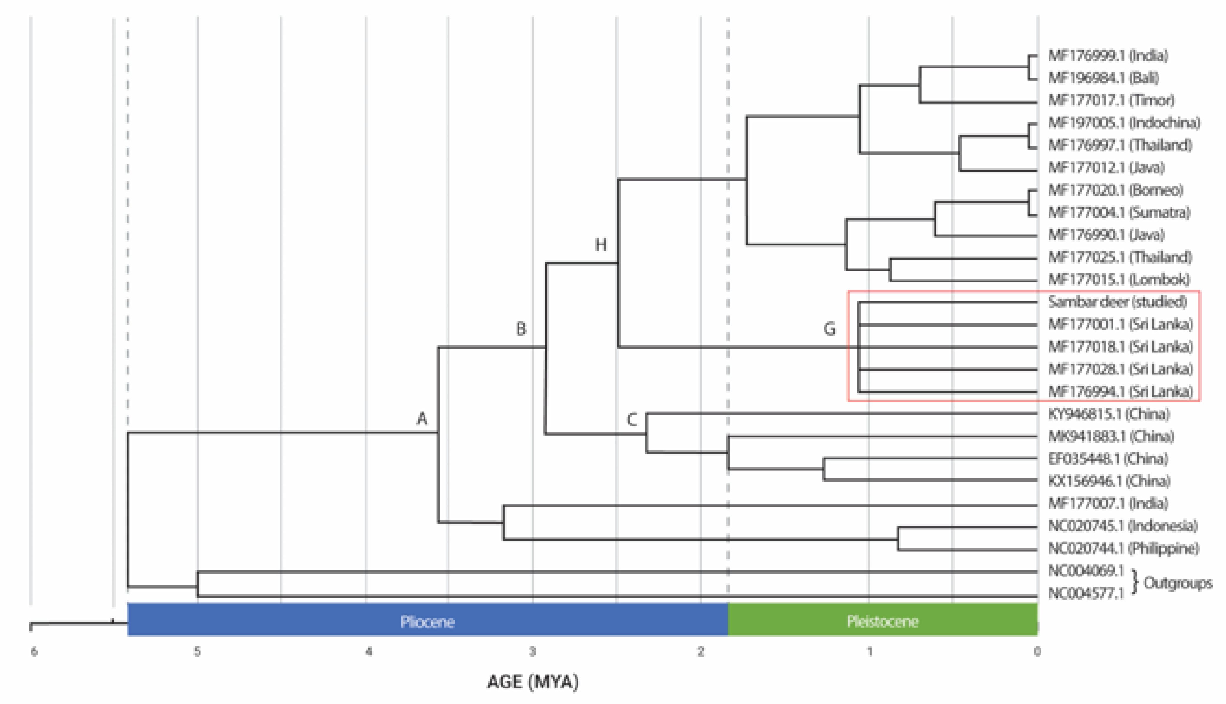 Animals 13 02877 g003