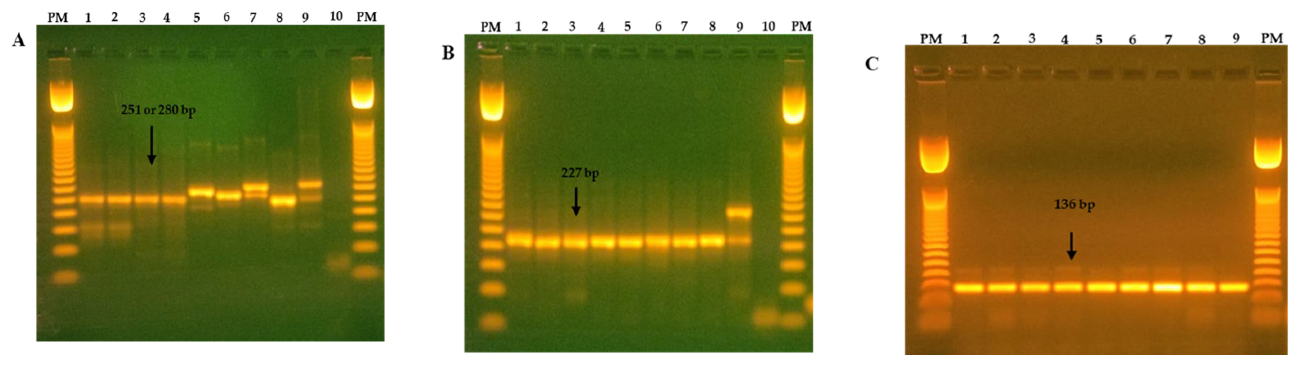 Animals 13 02983 g001