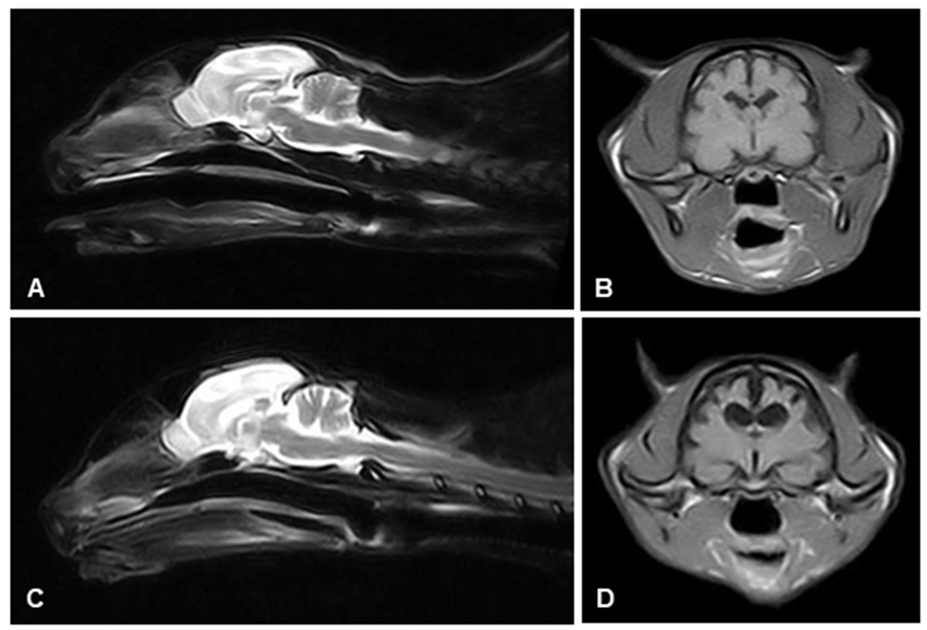 Animals 13 02985 g002 Animals 13 02985 g002