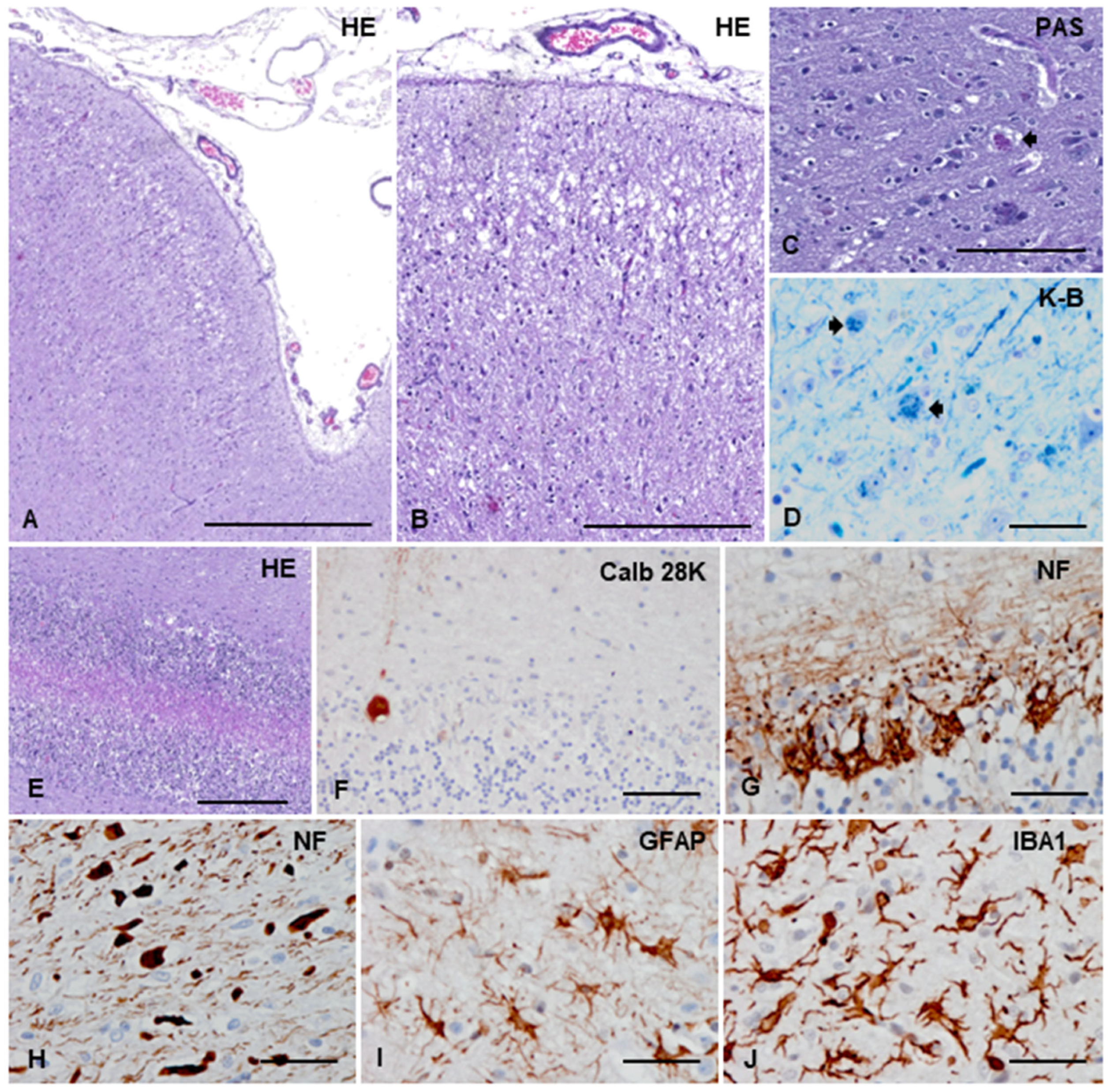 Animals 13 02985 g003 Animals 13 02985 g003