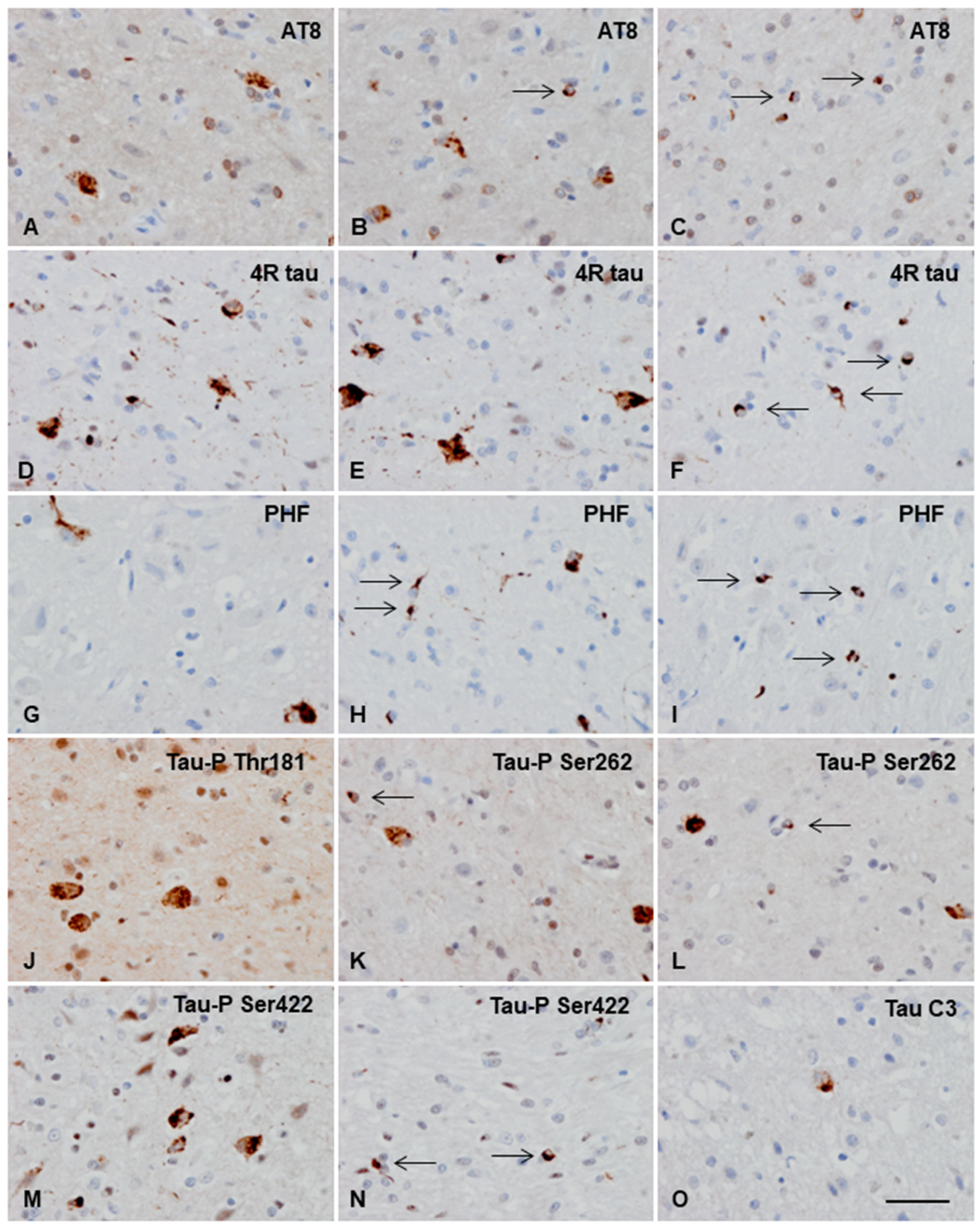 Animals 13 02985 g004 Animals 13 02985 g004