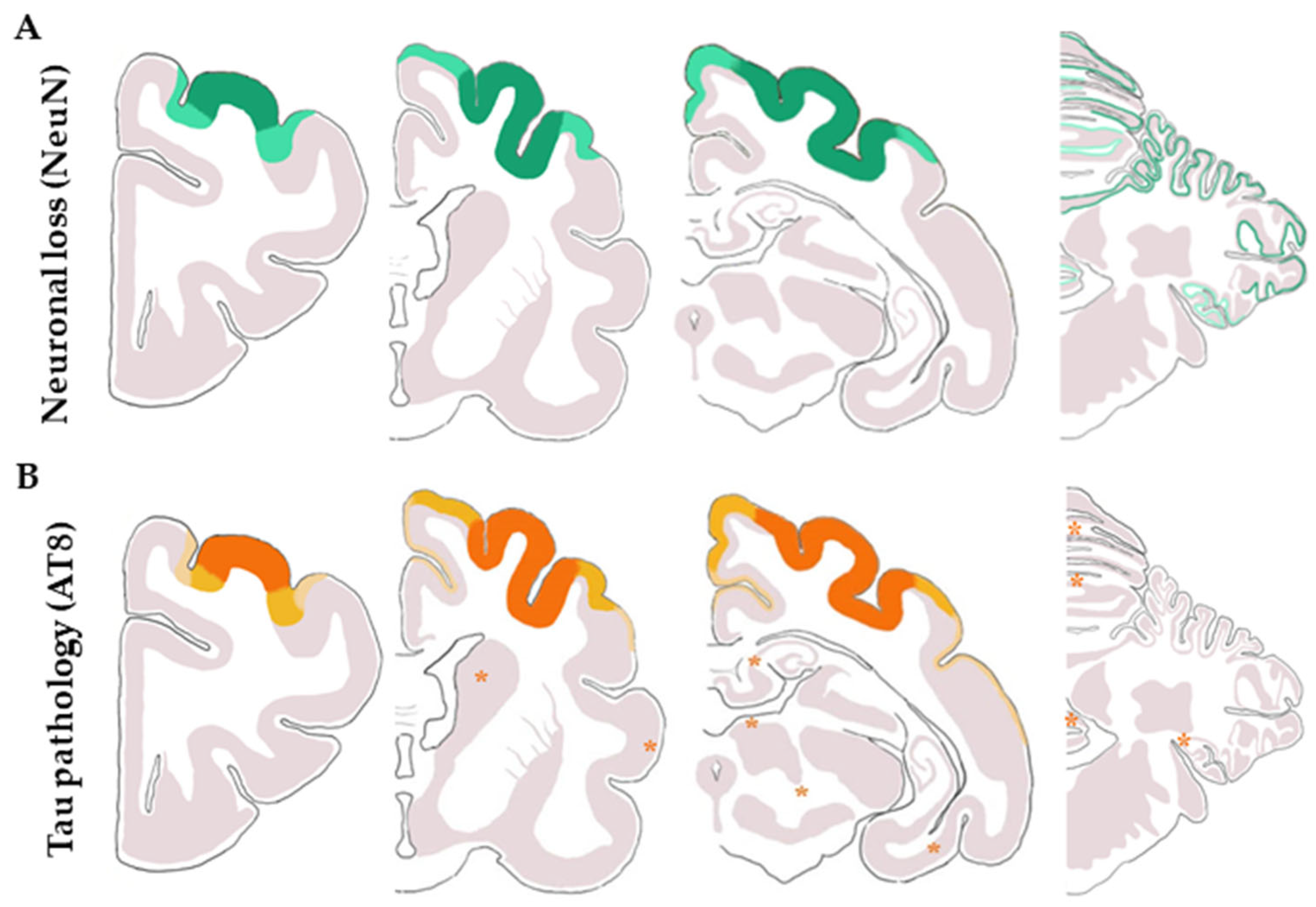 Animals 13 02985 g006 Animals 13 02985 g006