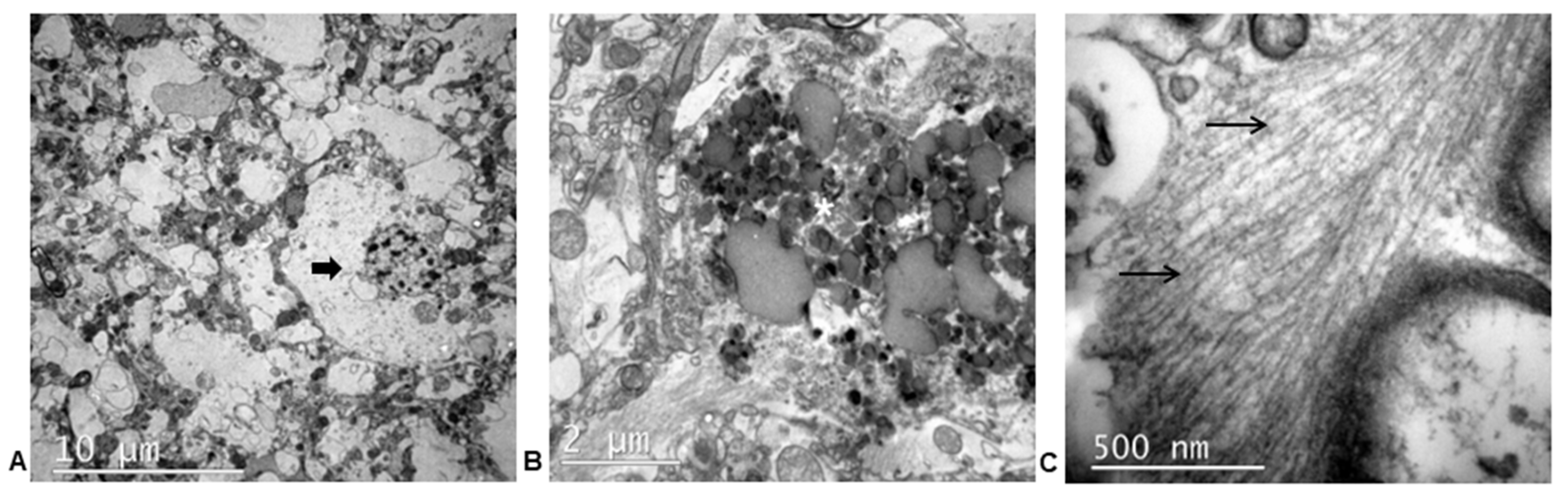 Animals 13 02985 g007 Animals 13 02985 g007