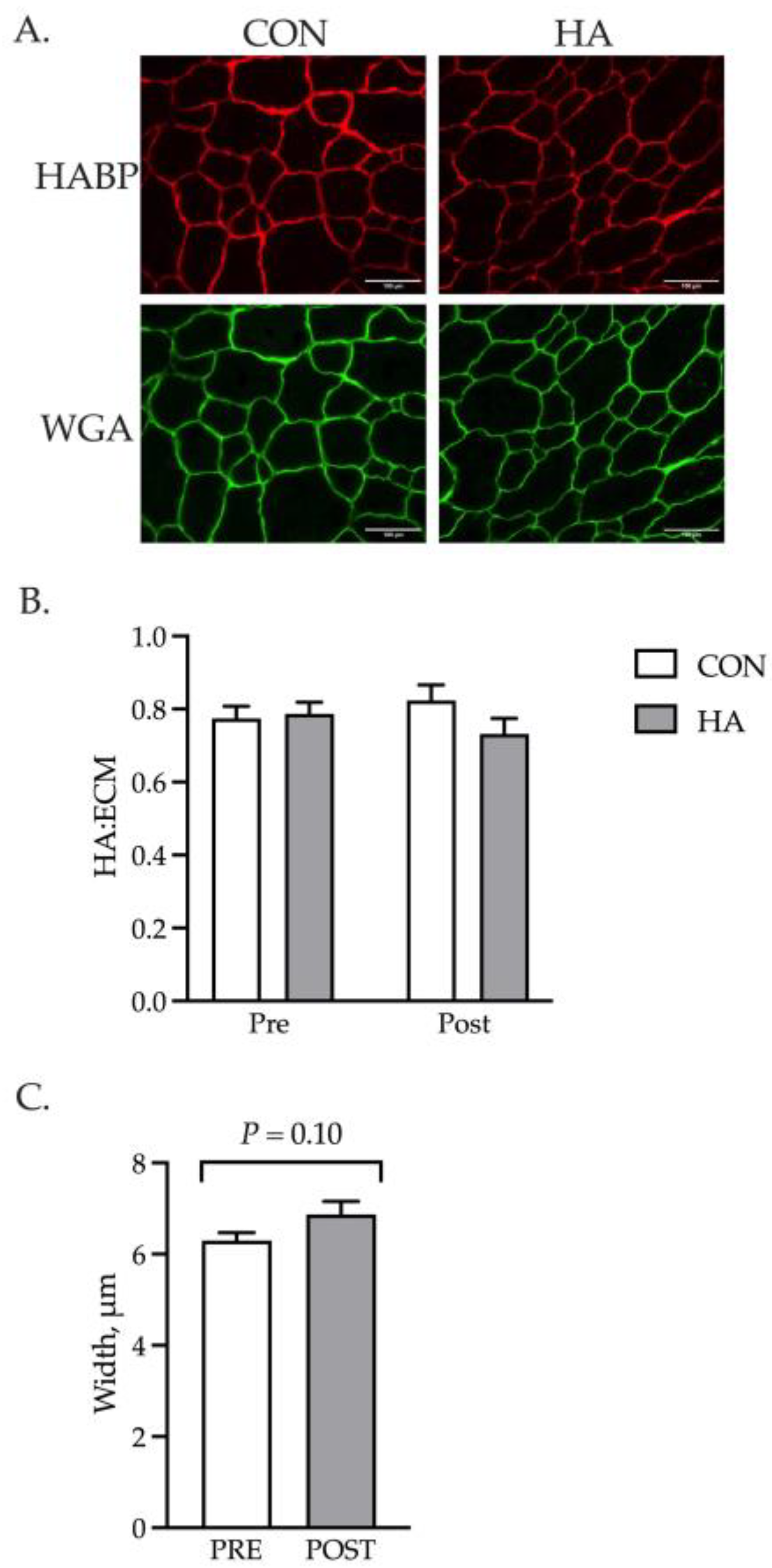 Animals 13 03030 g005