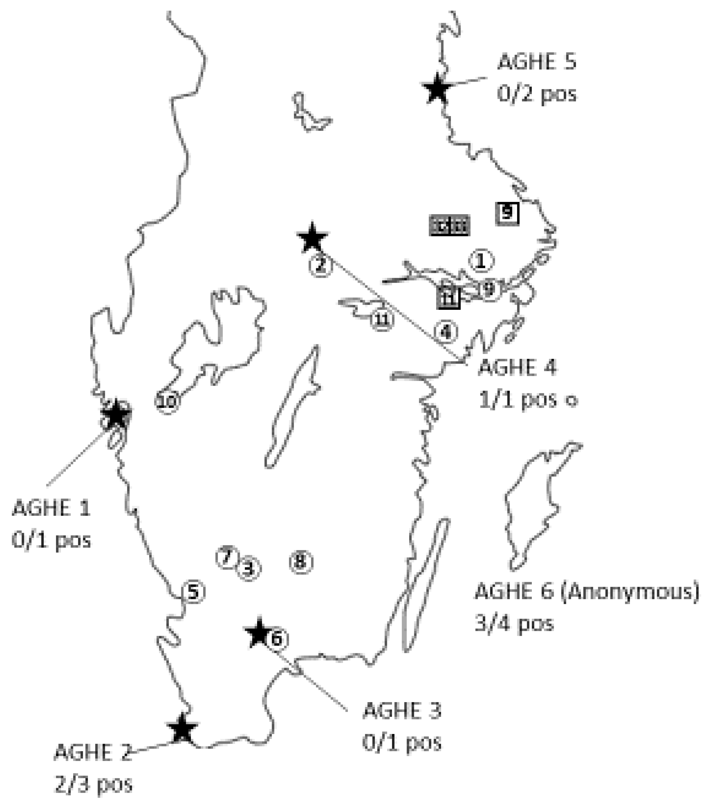 Animals 13 03055 g001 Animals 13 03055 g001