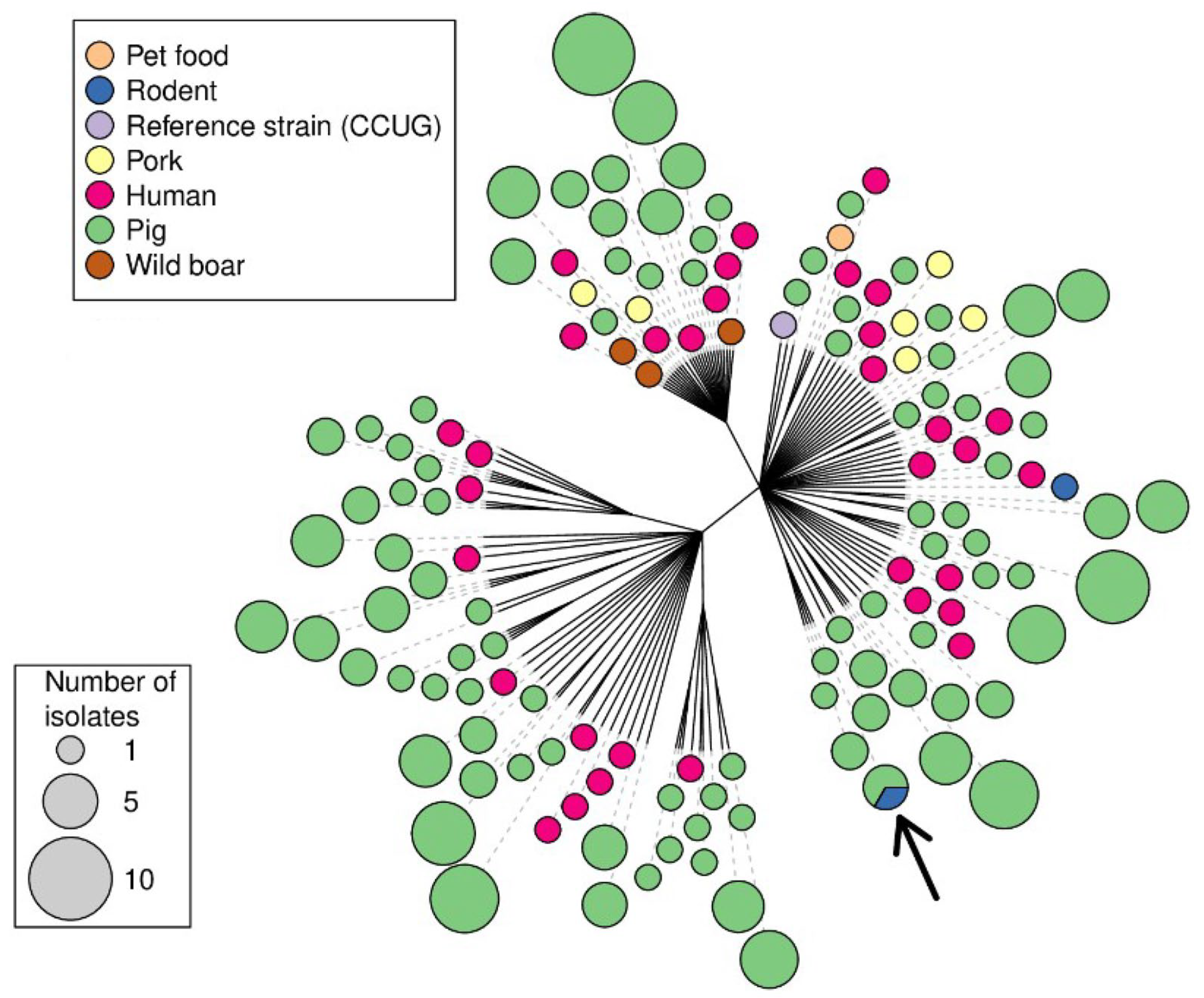 Animals 13 03055 g003 Animals 13 03055 g003