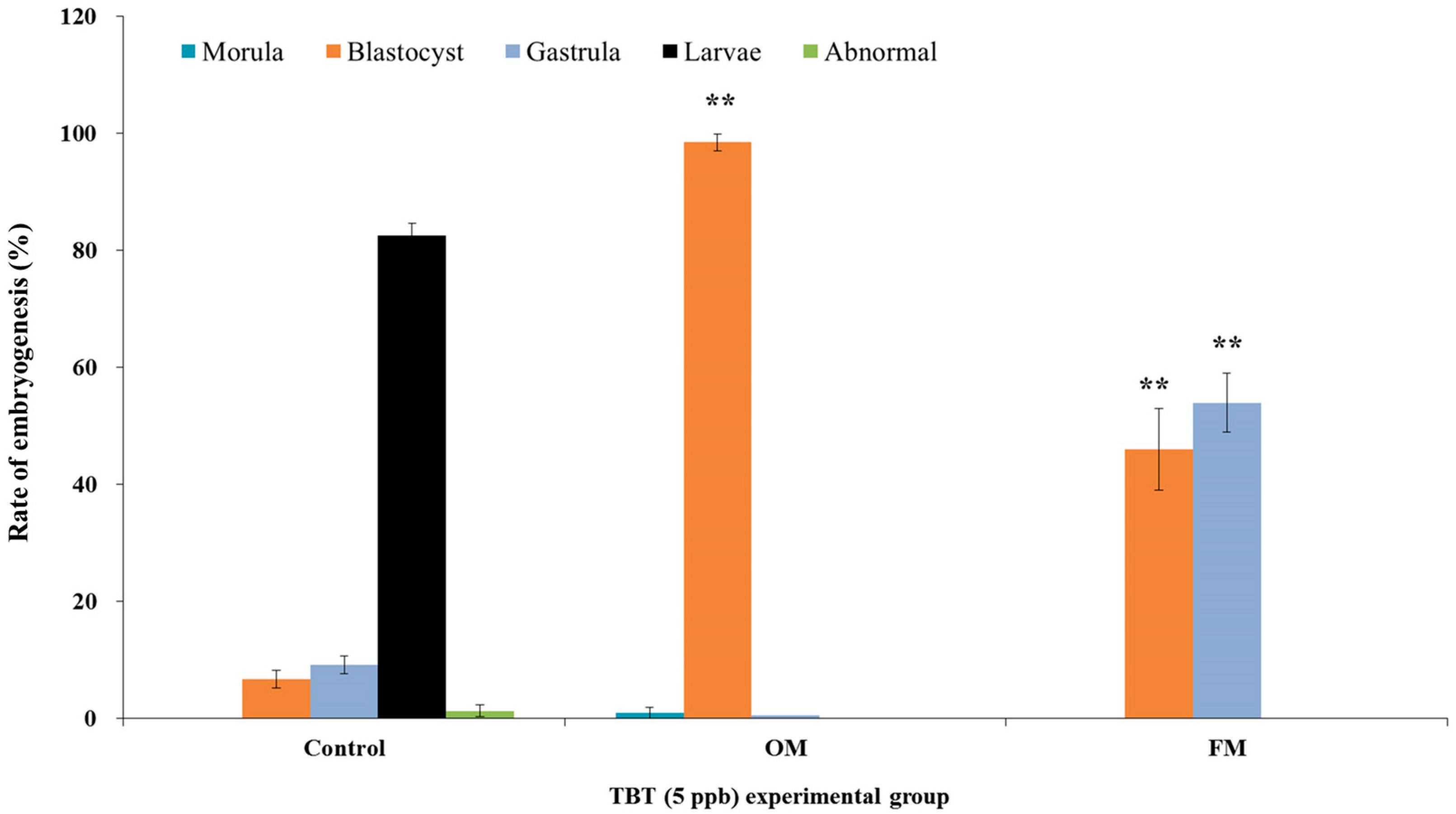 Pluteus Larva  Encyclopedia MDPI