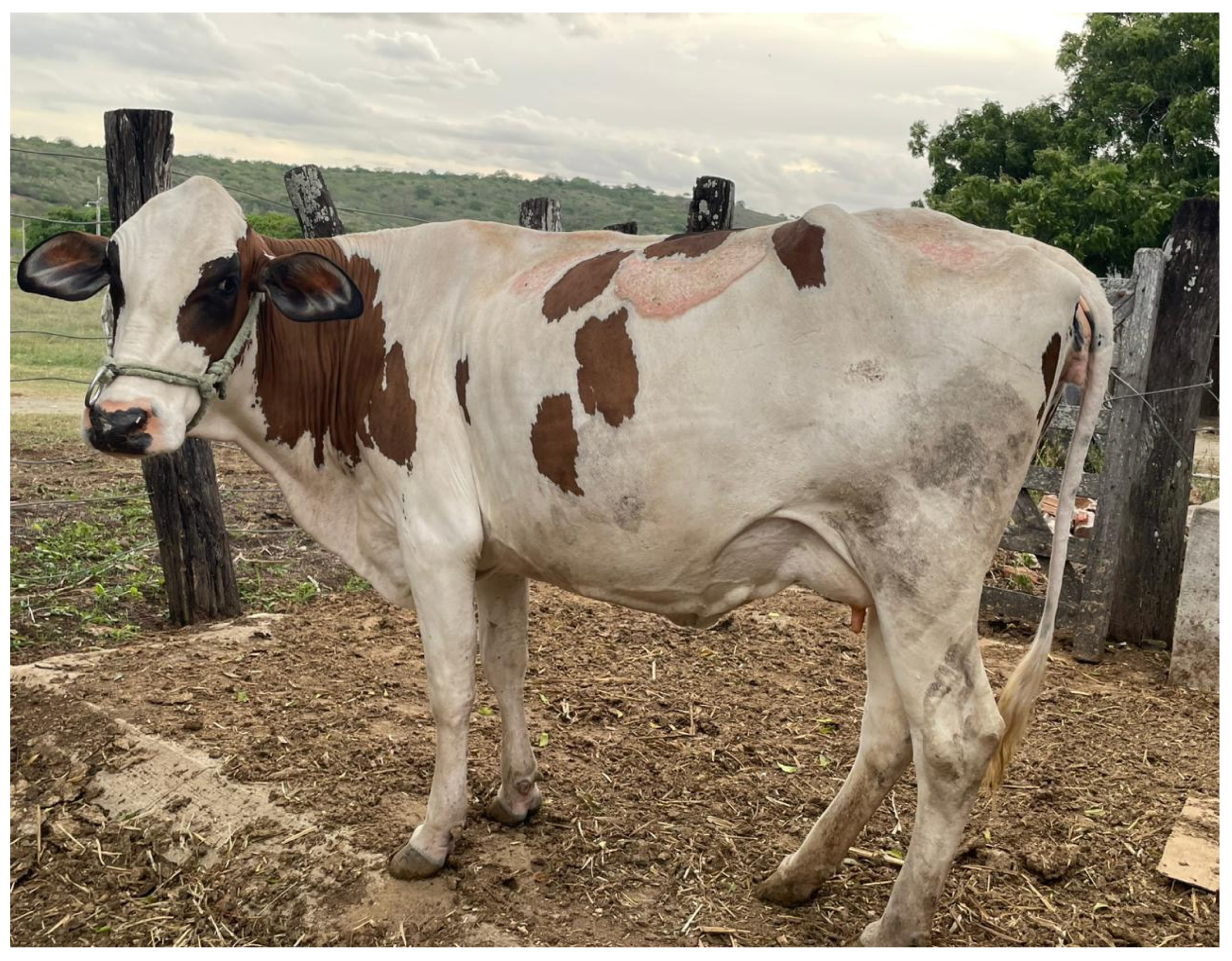 Animals 13 03087 g007