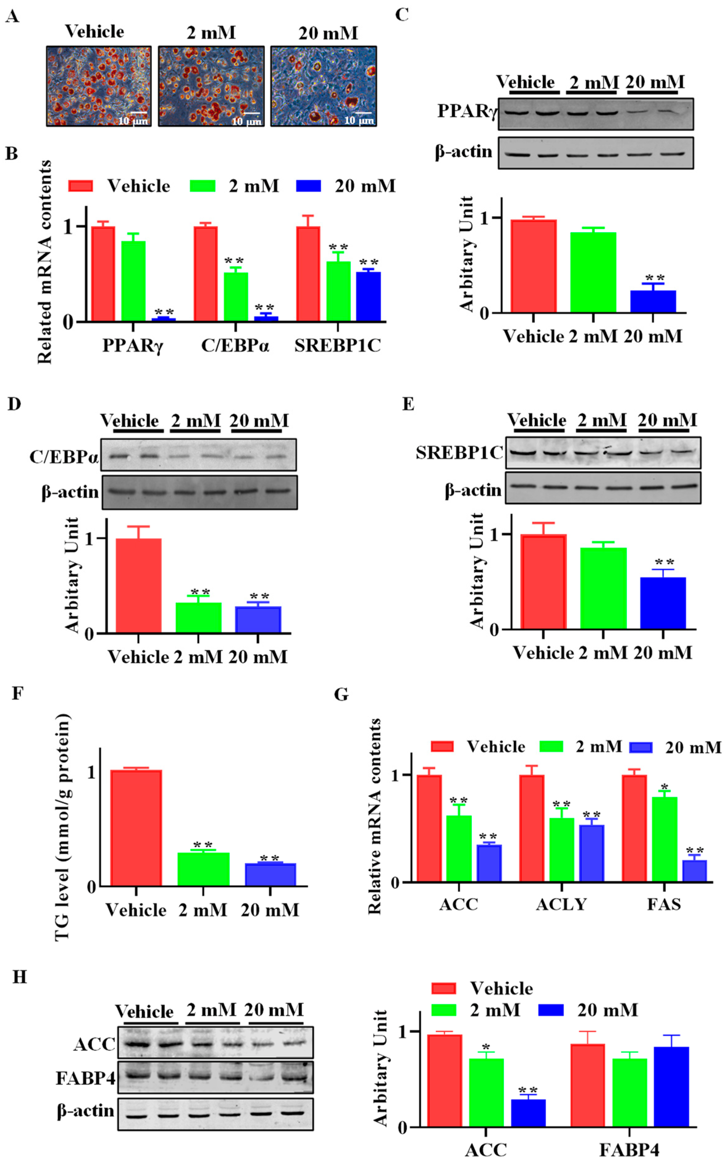 Animals 13 03108 g003