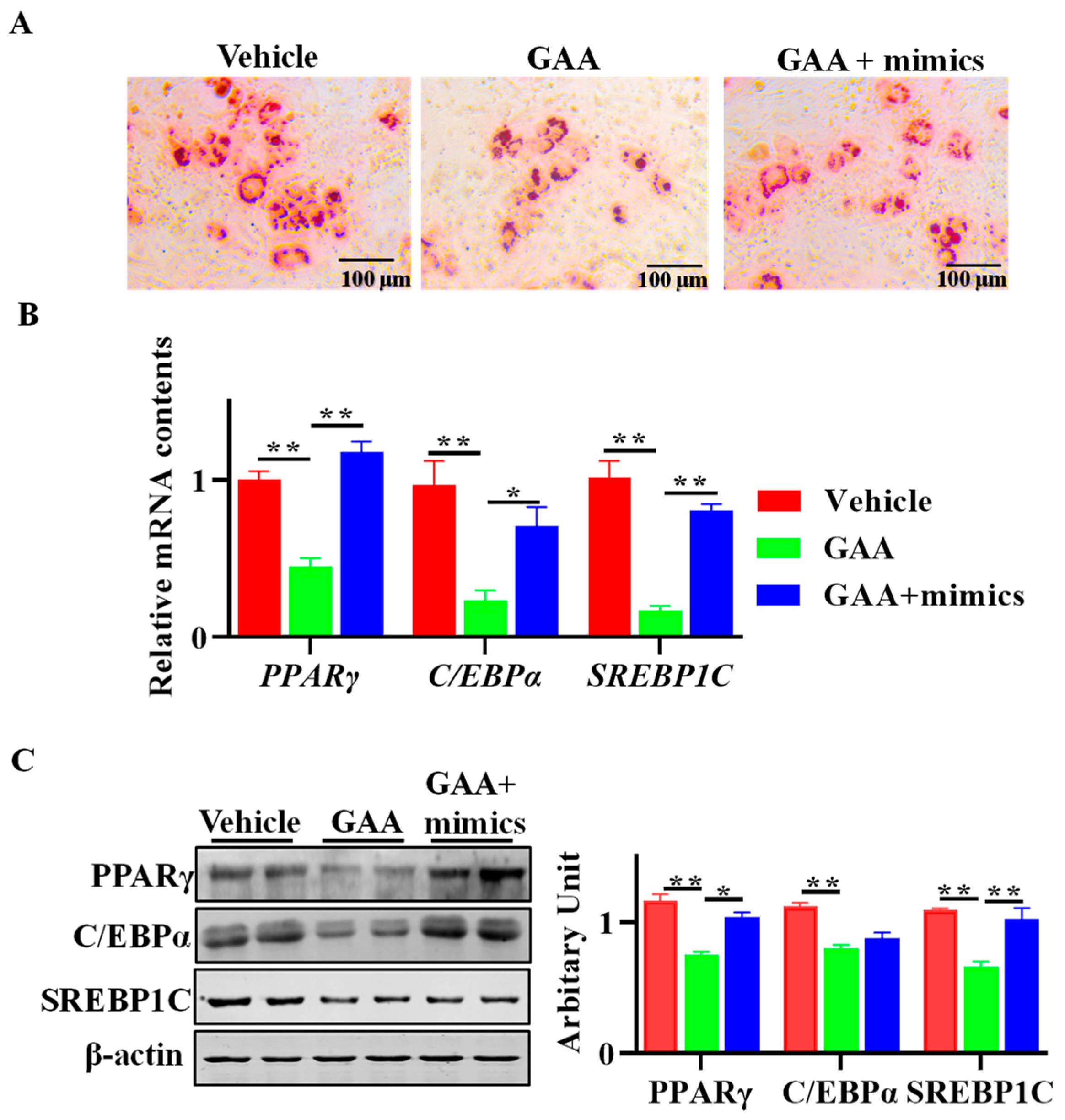 Animals 13 03108 g006