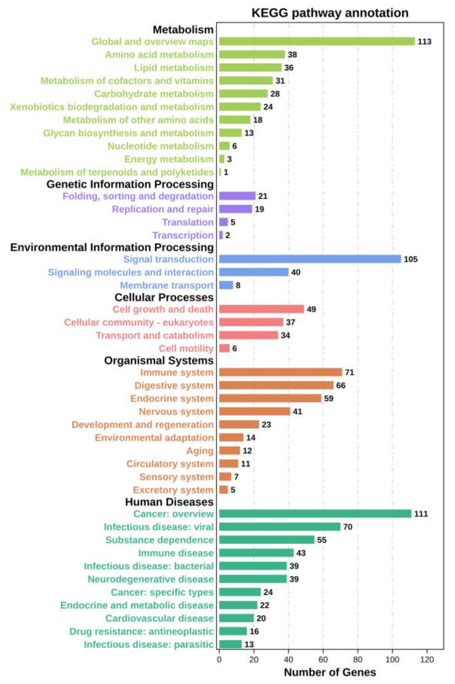 Animals 13 03139 g005
