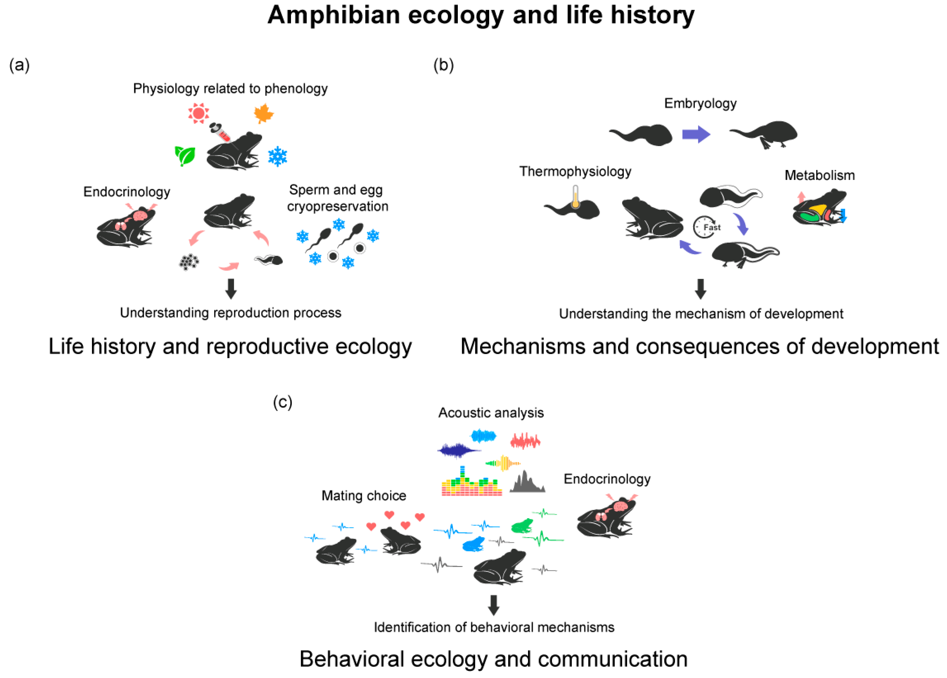Animals 13 03162 g002