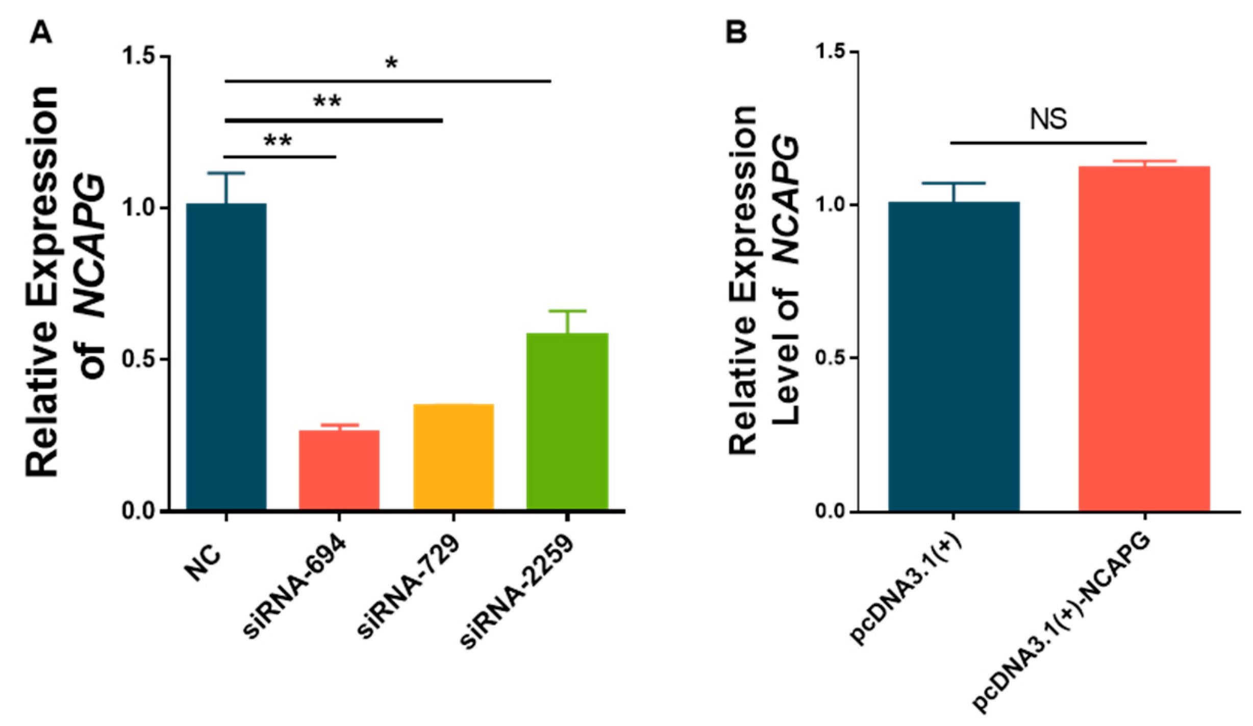Animals 13 03173 g003