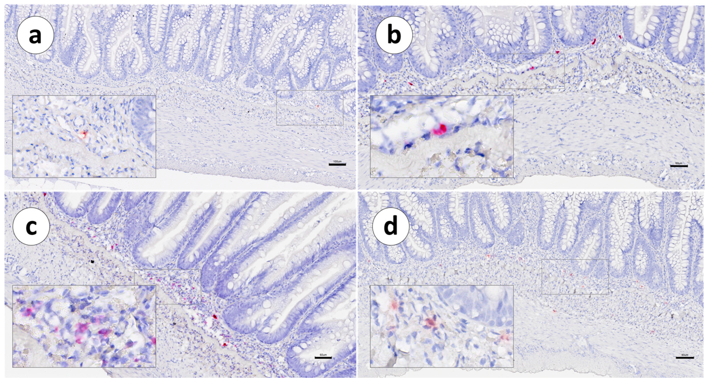 Animals 13 03191 g005