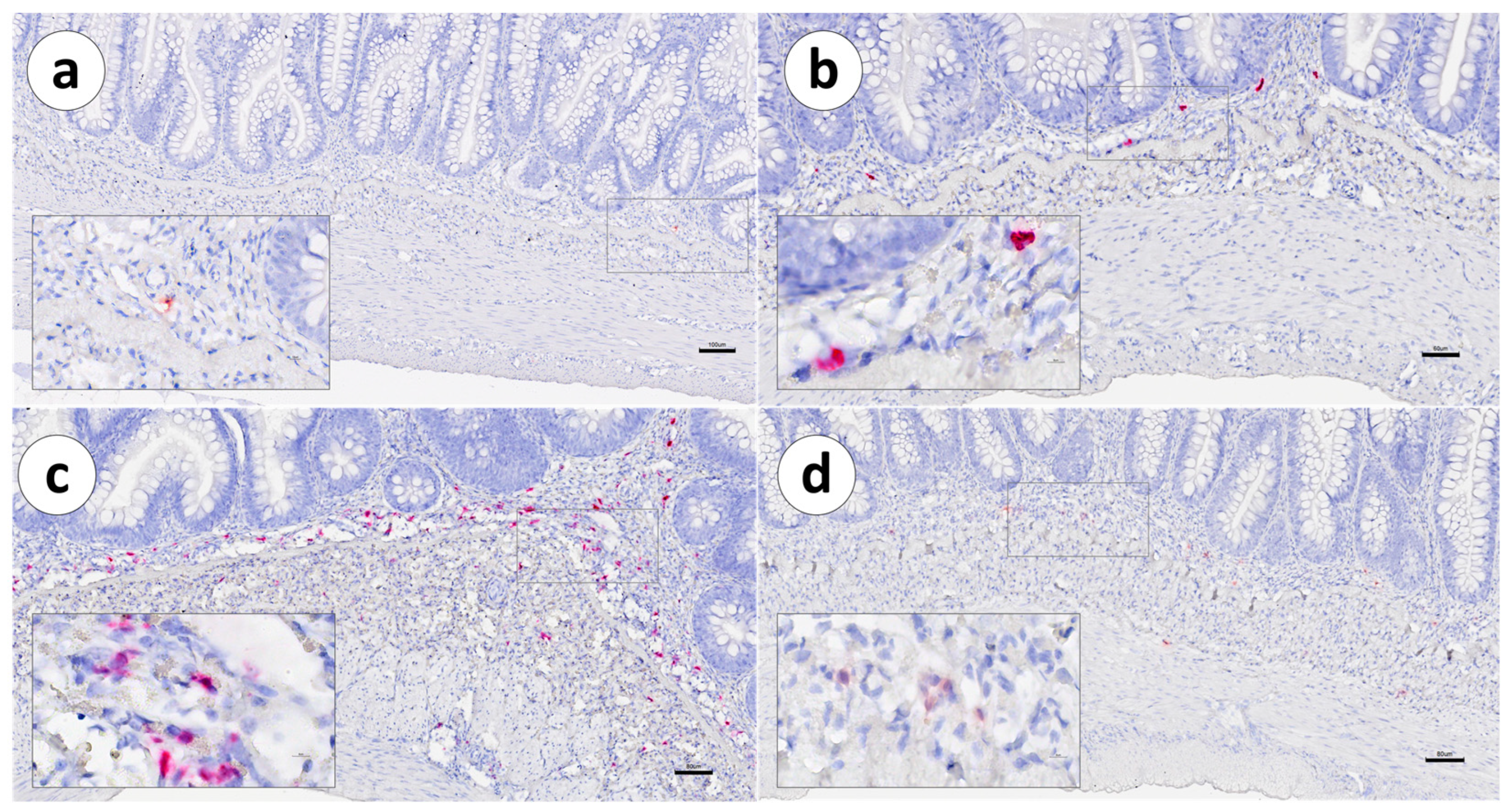 Animals 13 03191 g010
