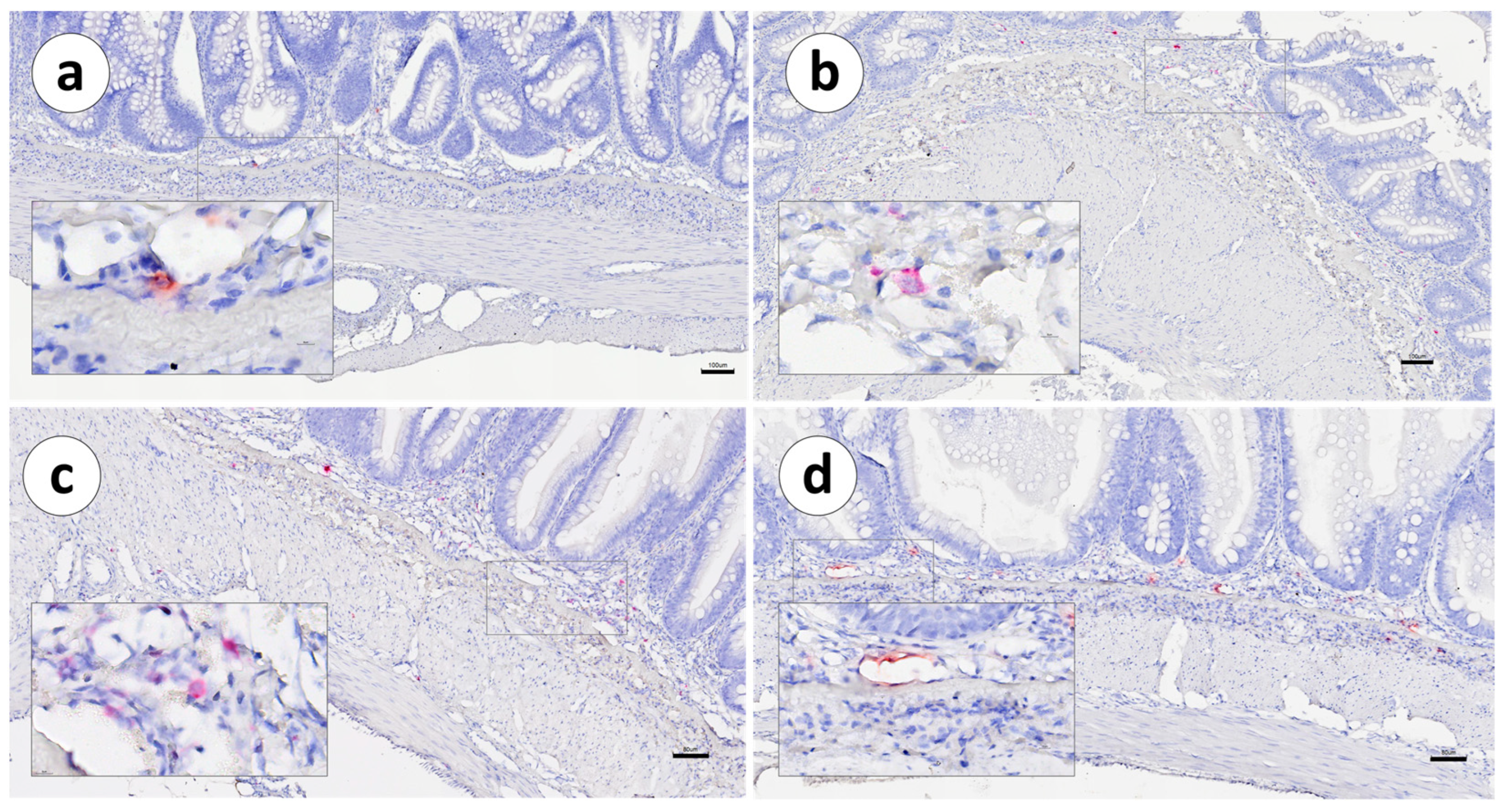 Animals 13 03191 g011