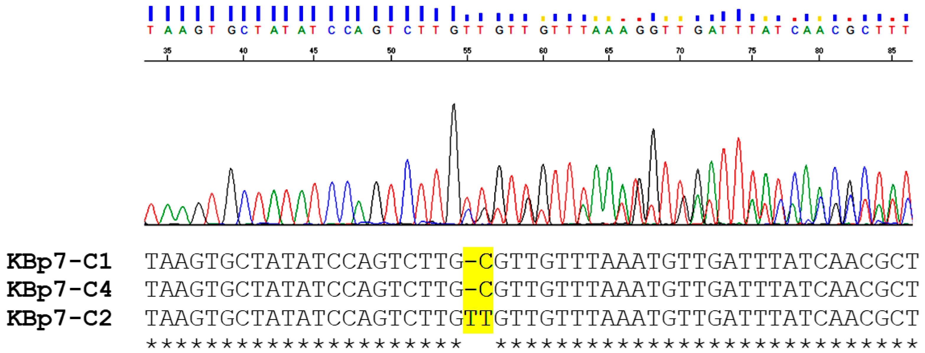 Animals 13 03200 g002