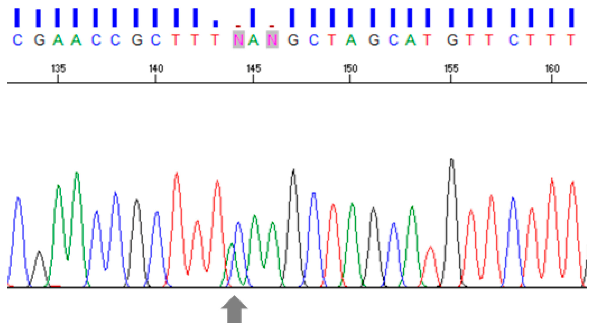 Animals 13 03200 g006