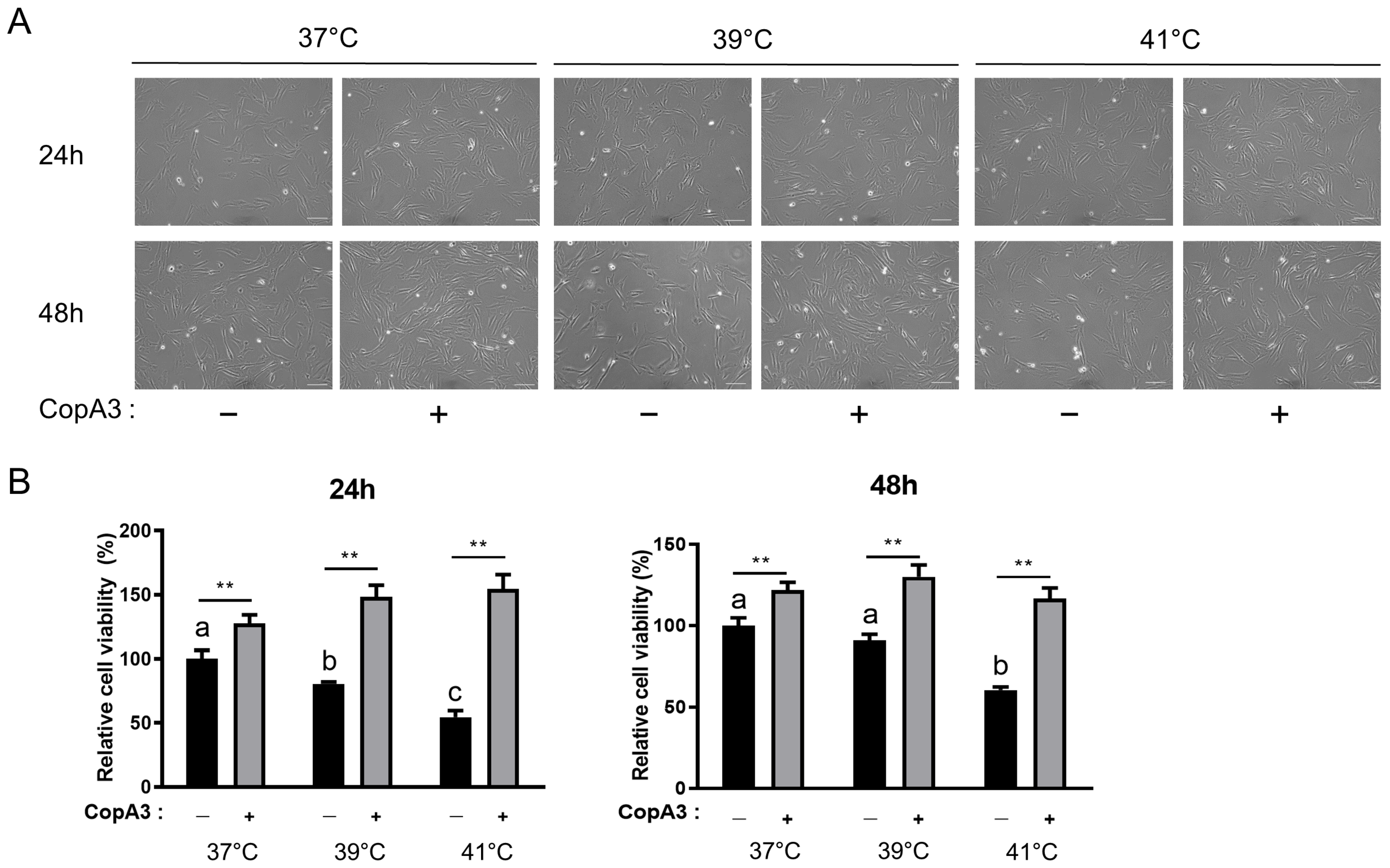 Animals 13 03209 g002