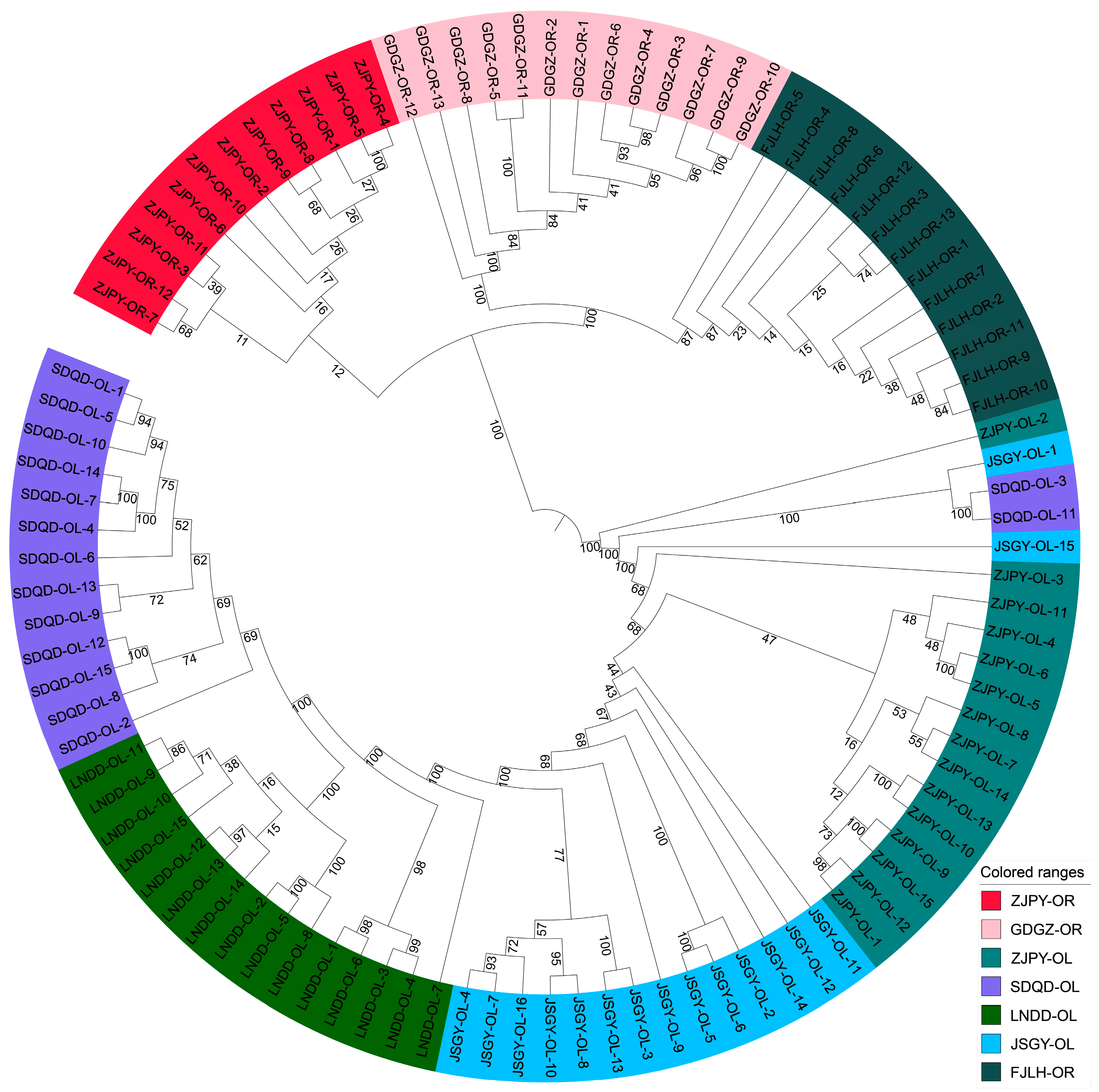 Animals 13 03240 g003