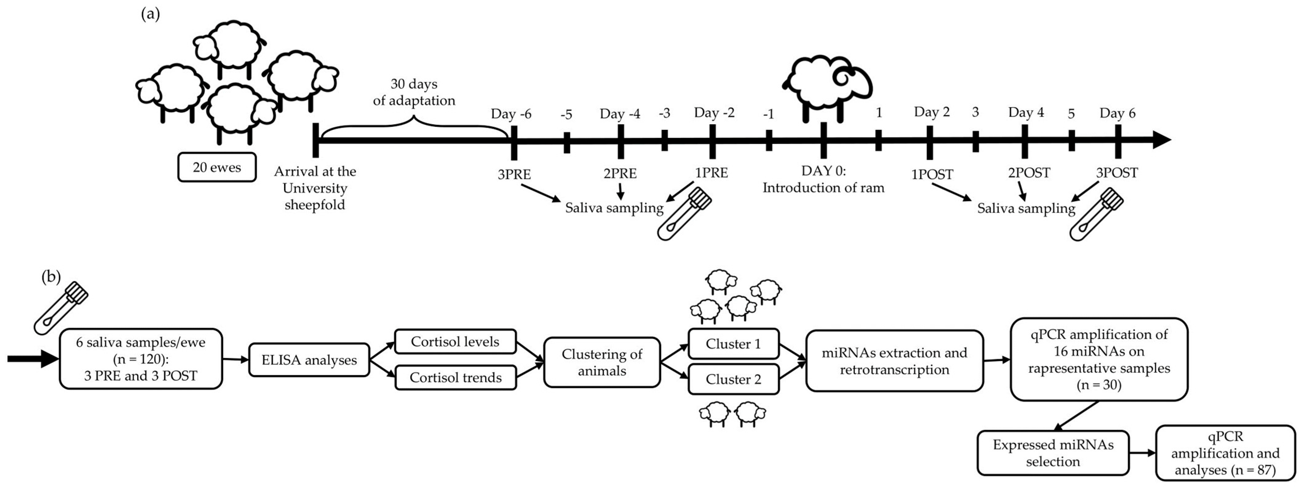 Animals 13 03273 g001