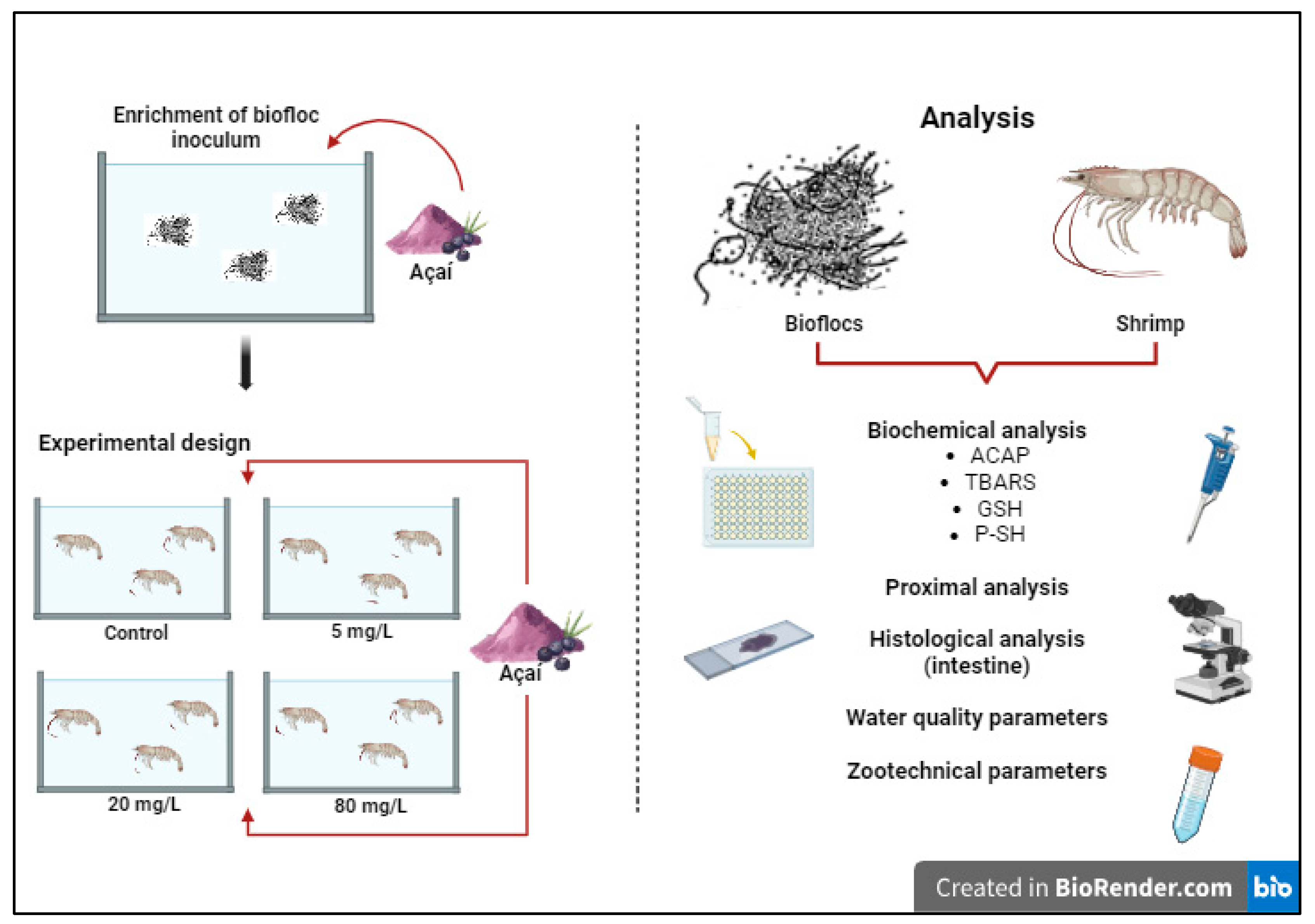 Animals 13 03282 g001