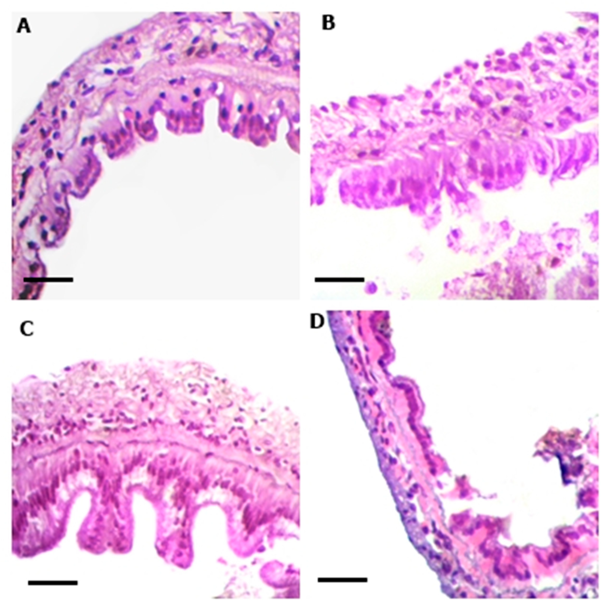 Animals 13 03282 g006