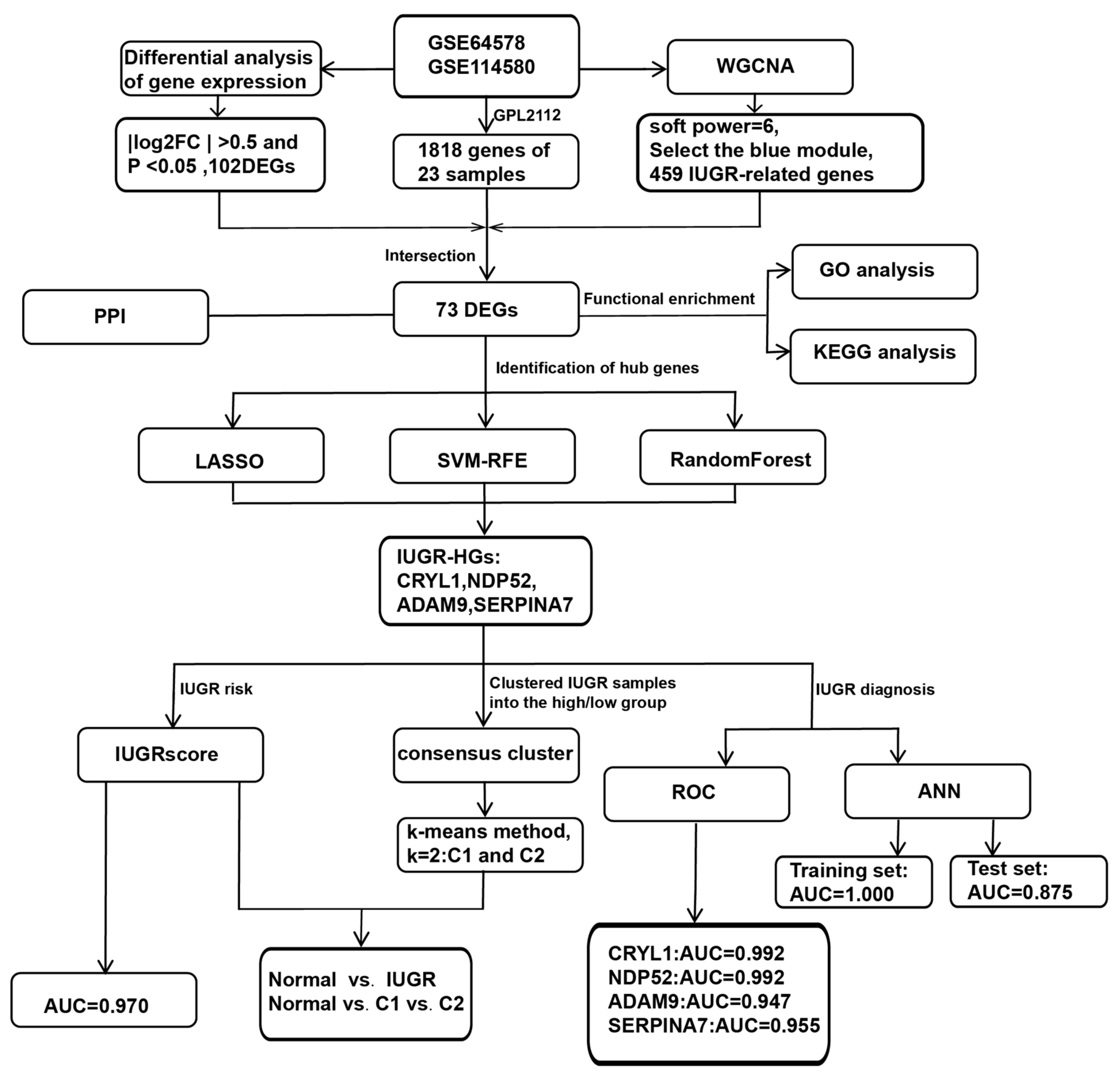 Animals 13 03305 g001