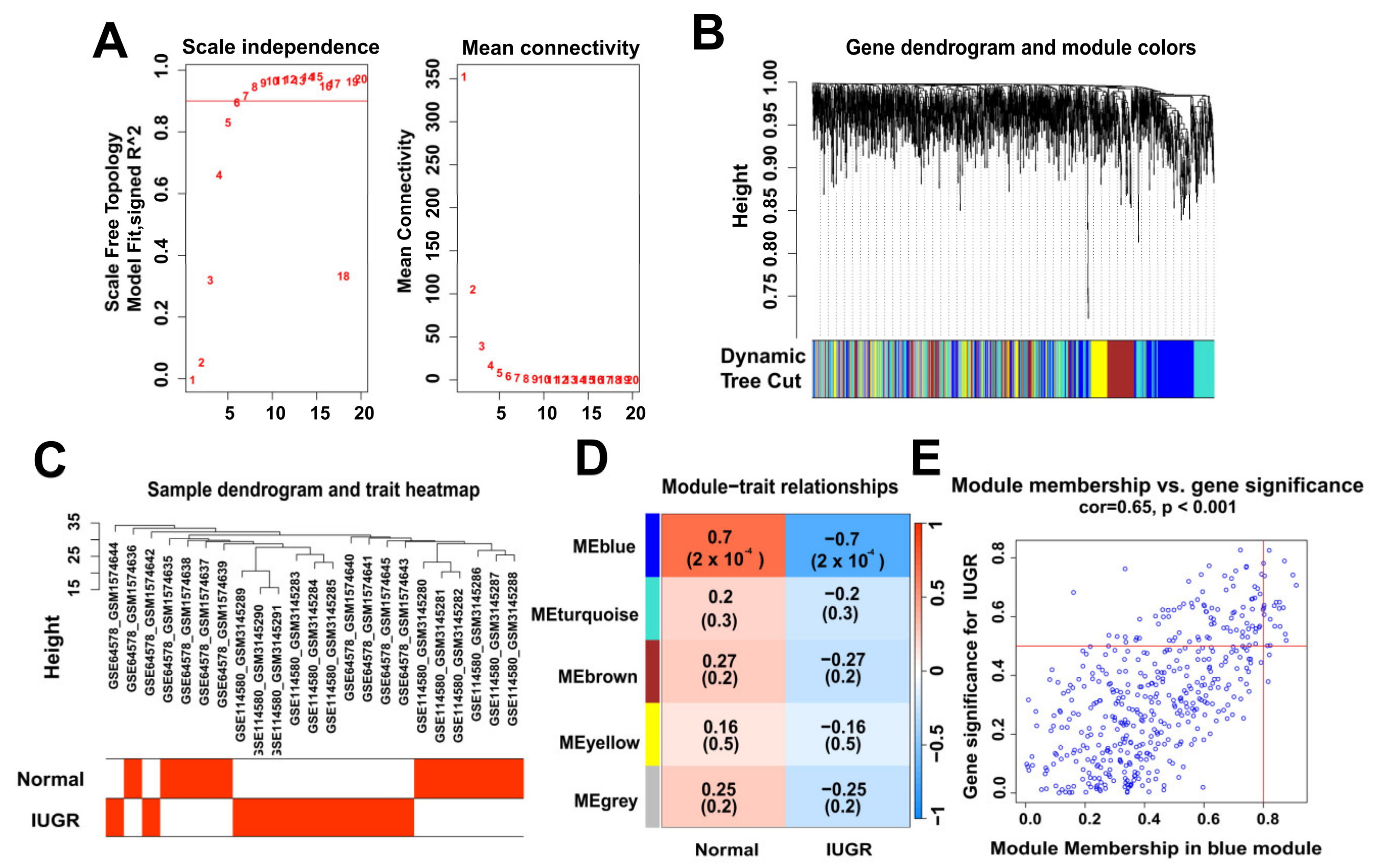 Animals 13 03305 g003