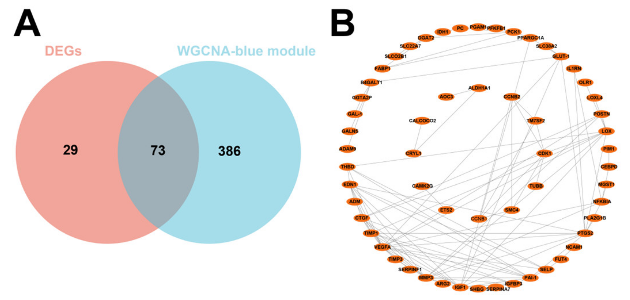 Animals 13 03305 g004