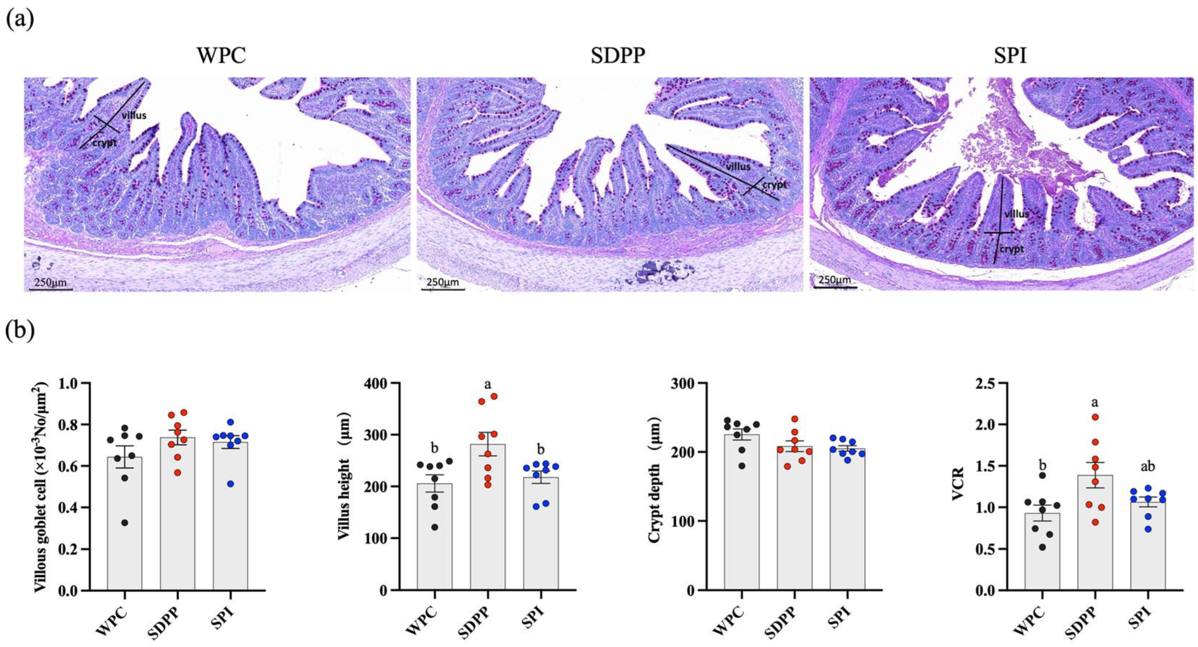 Animals 13 03308 g002