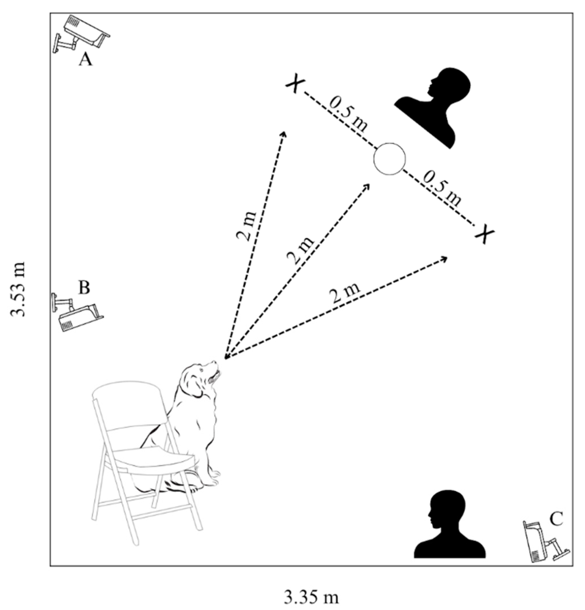 Understanding and Managing Mouthing and Pawing